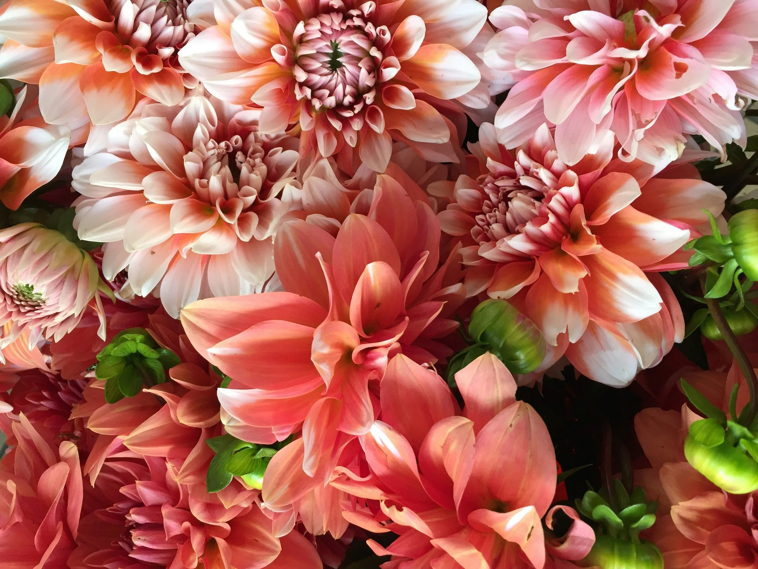 Fall Wedding Flowers at Lake Tahoe. What's in Season and Why It's the Best Time of Year