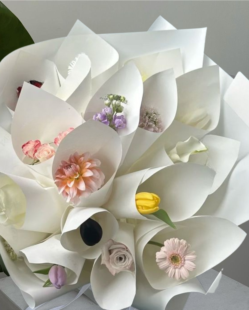 Untitled design-2 copy 2.png