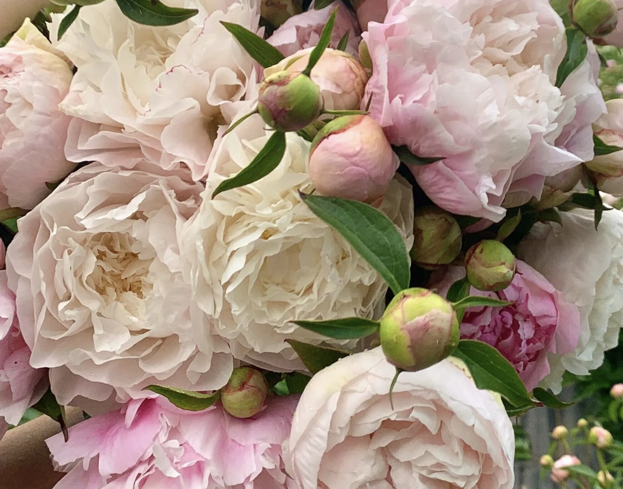 Screenshot 2026-04-22 at 10.10.59 AM.png