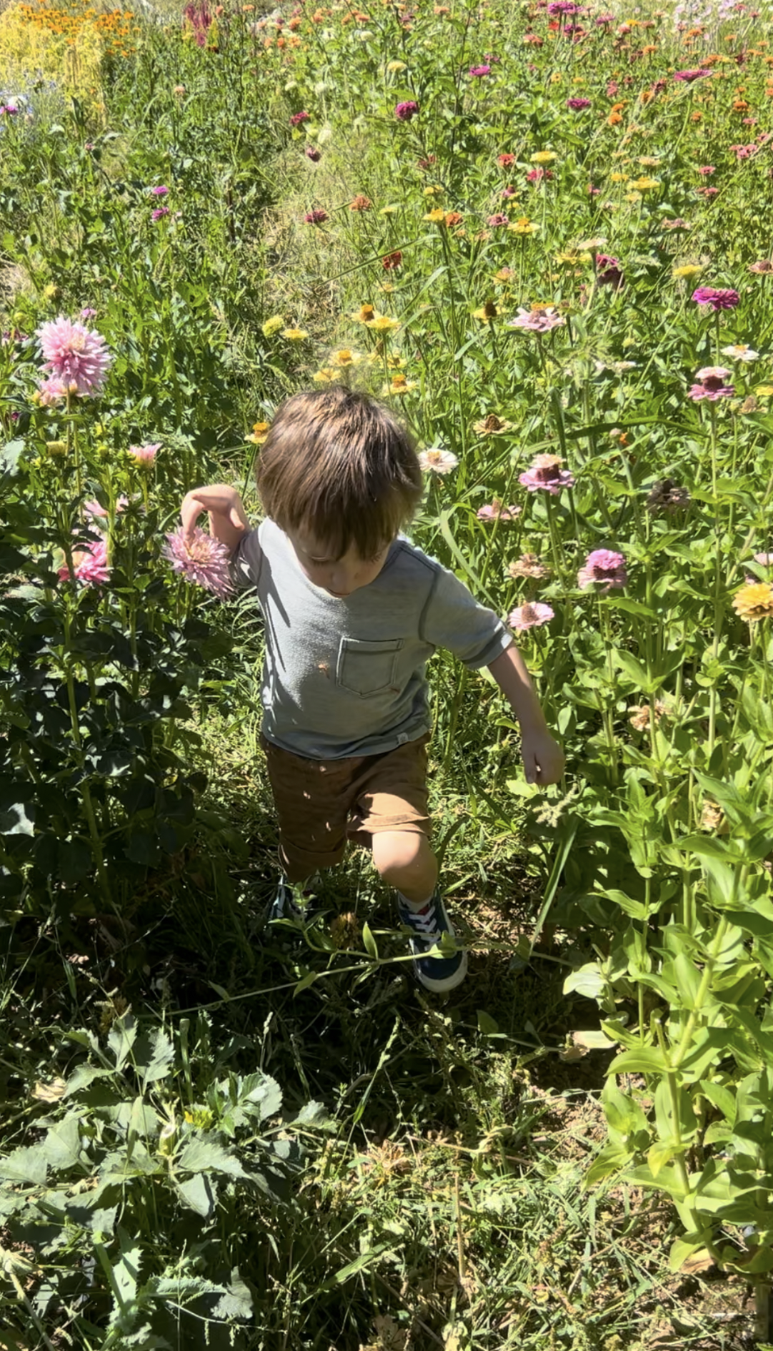 Why We Source Locally Grown Wedding Flowers And Why It Matters for Your Lake Tahoe Wedding flowers