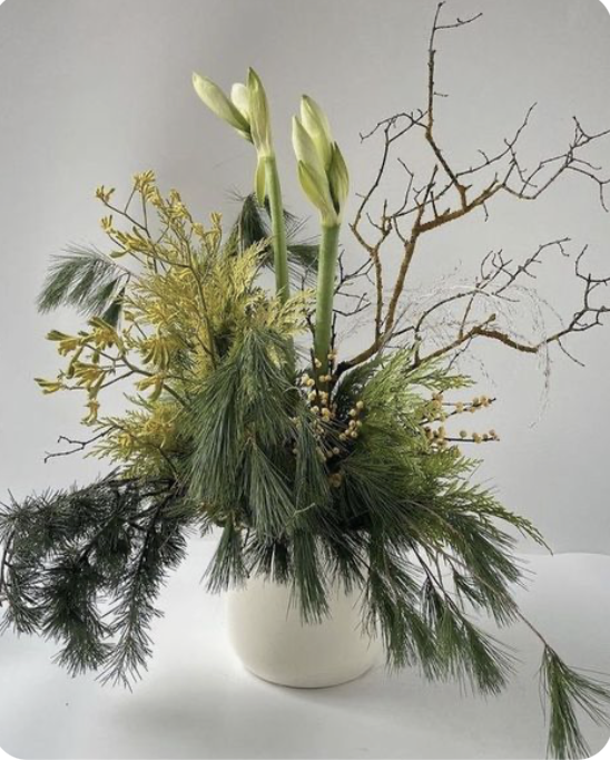 Screenshot 2025-11-22 at 10.20.45 AM.png