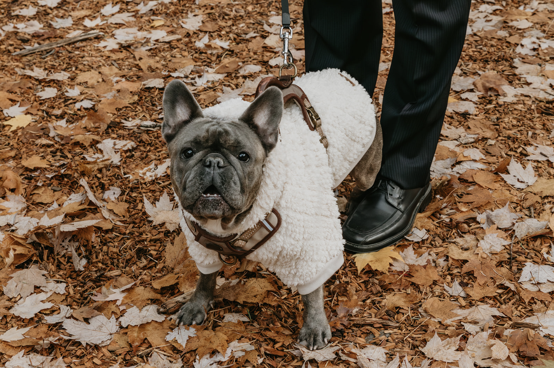 Screenshot 2026-02-07 at 9.50.41 PM.png