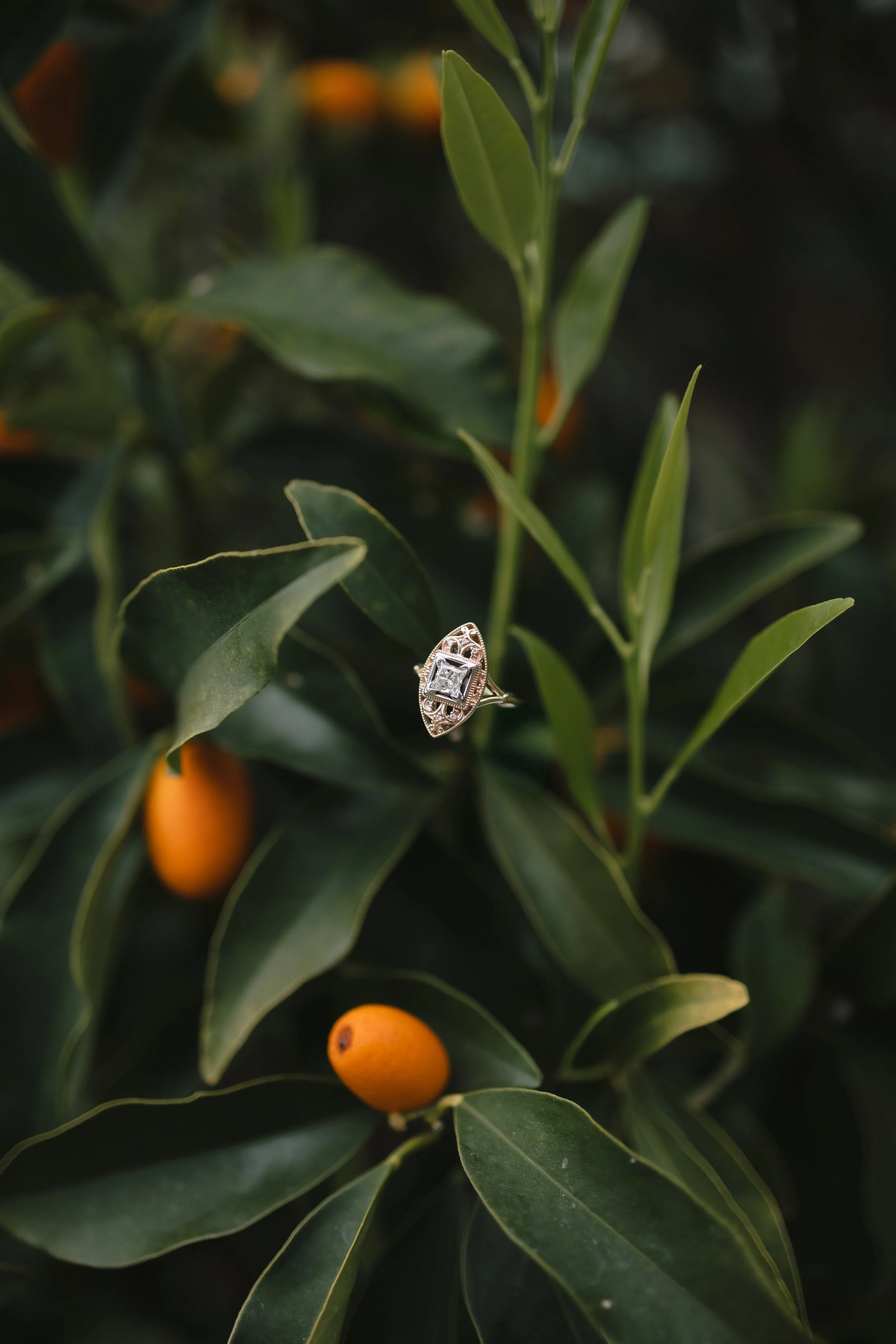 1B4A7904-Edit.jpg