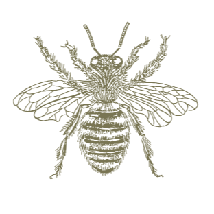 Lake Tahoe Wedding Florist | Golden Flowers