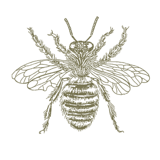 Lake Tahoe Wedding Florist | Golden Flowers