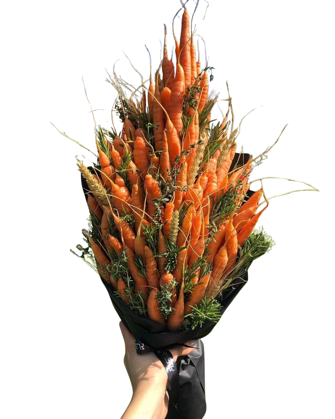 Untitled design-2 copy 3.png