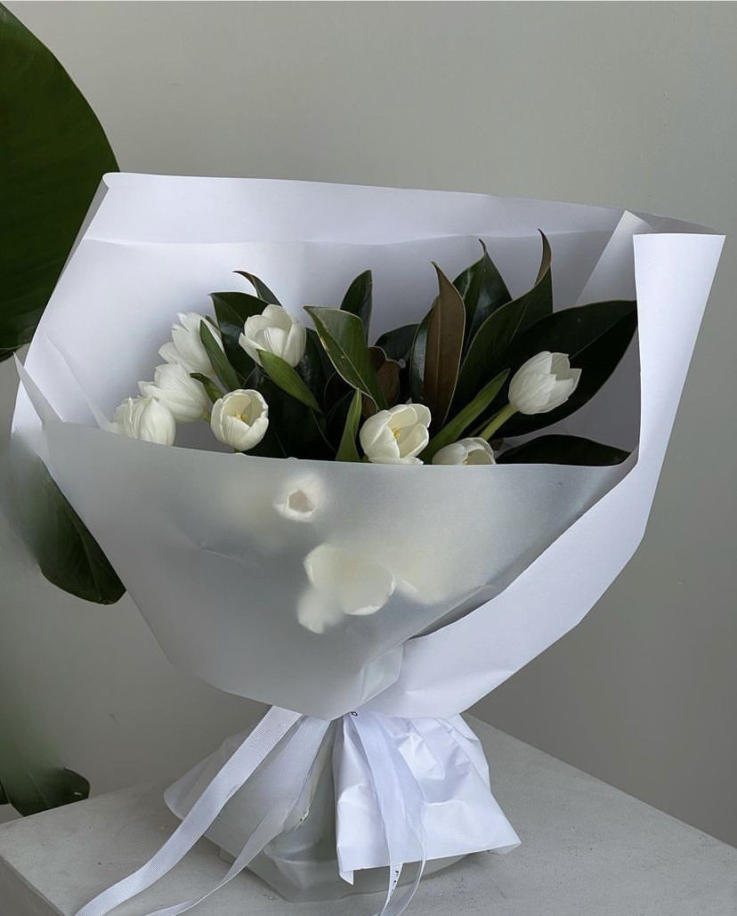 Untitled design-2 copy.png