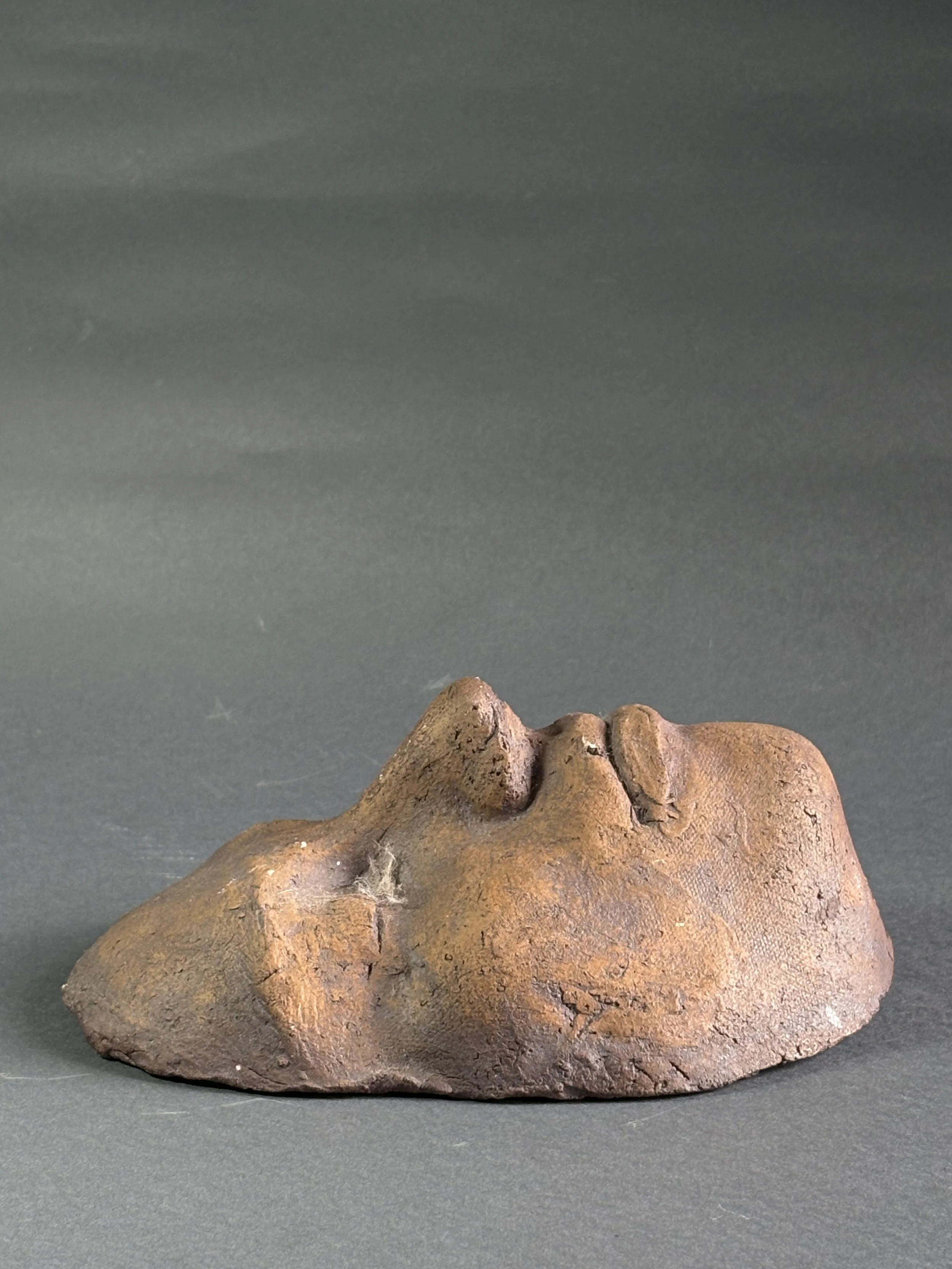 Photo Feb 20 2025, 12 11 04 PM.jpg