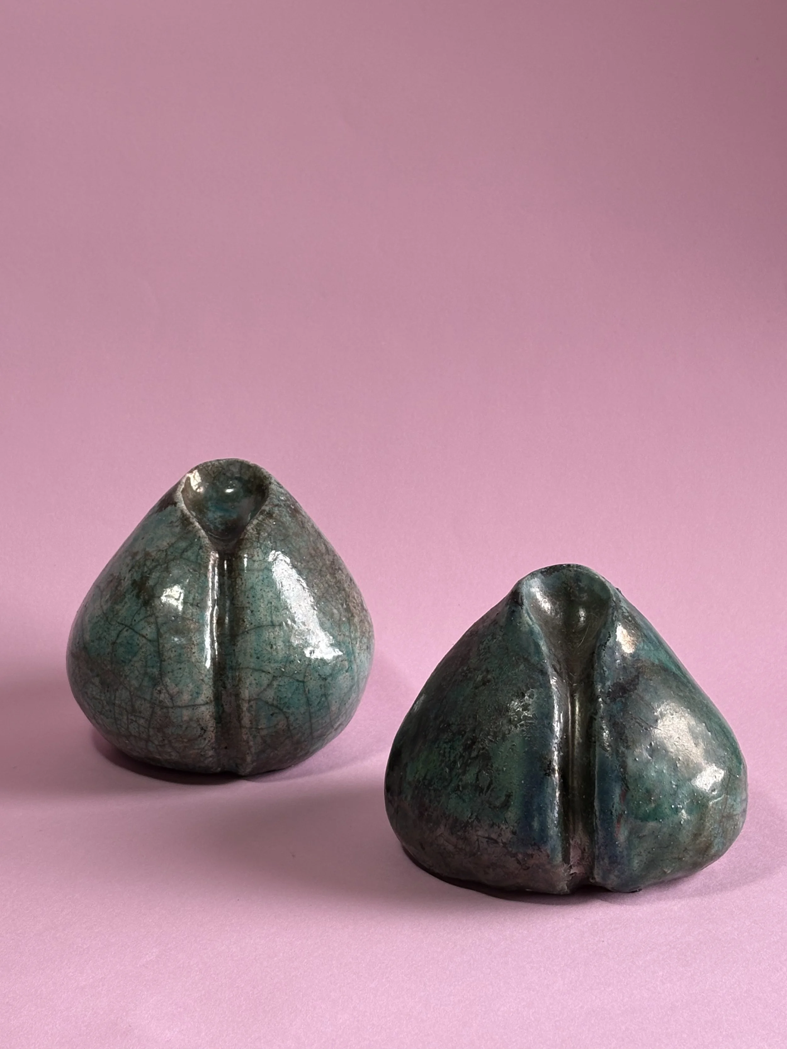 Photo Feb 20 2025, 11 39 20 AM.jpg