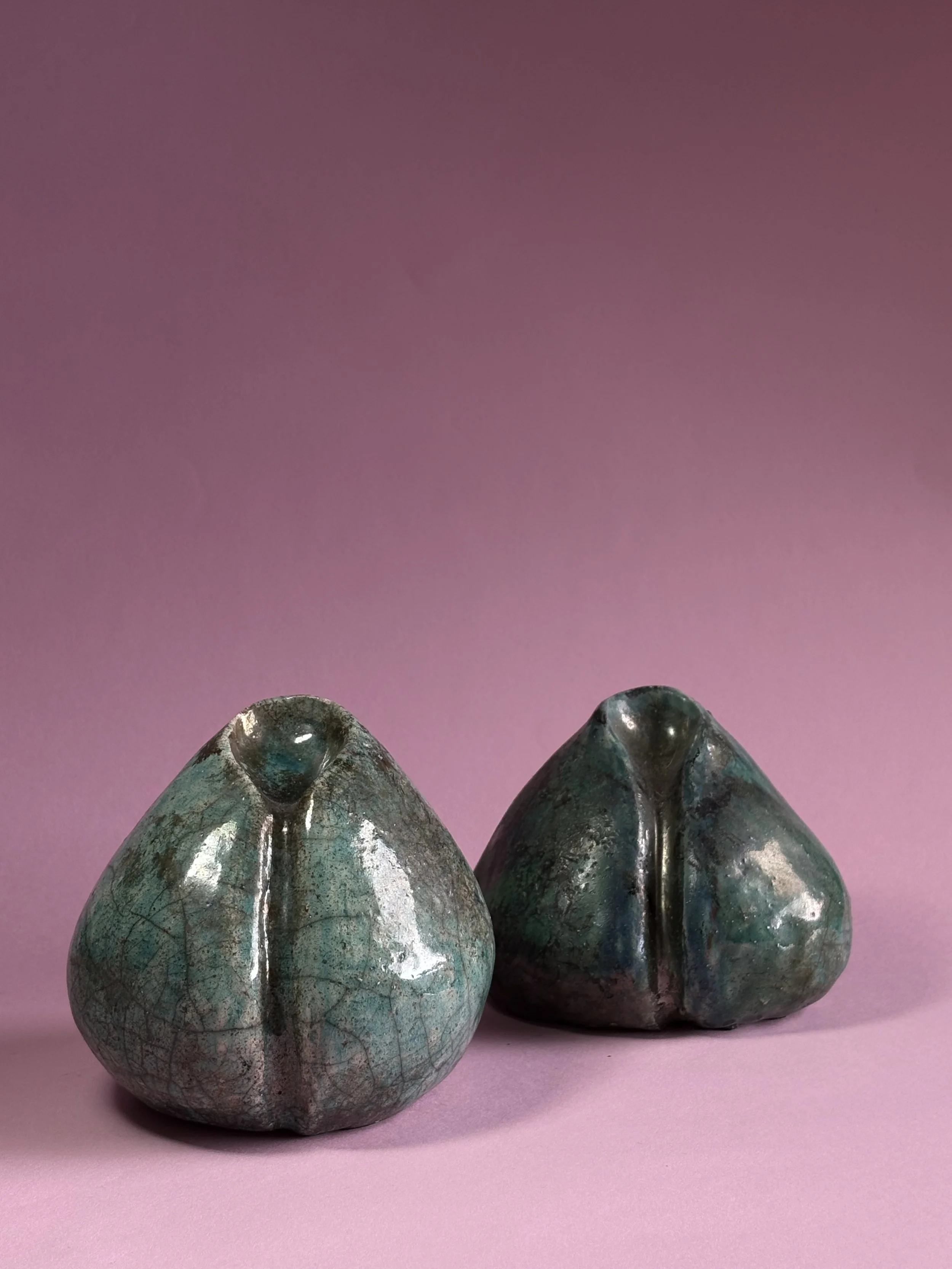 Photo Feb 20 2025, 11 40 45 AM.jpg