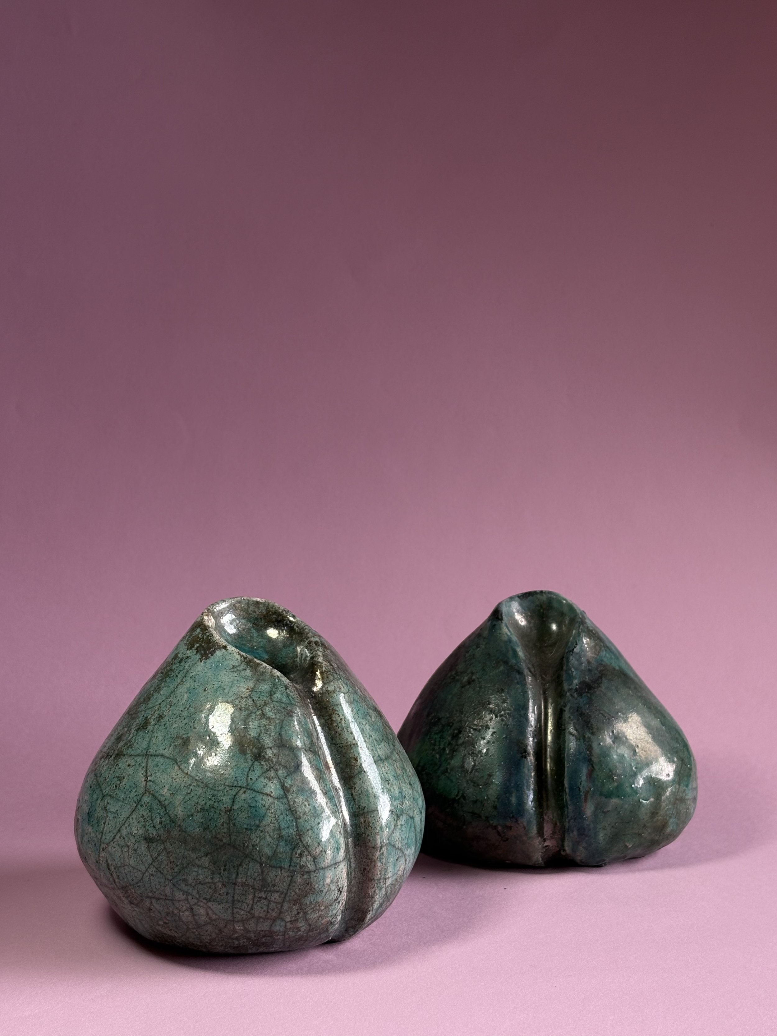 Photo Feb 20 2025, 11 40 24 AM.jpg