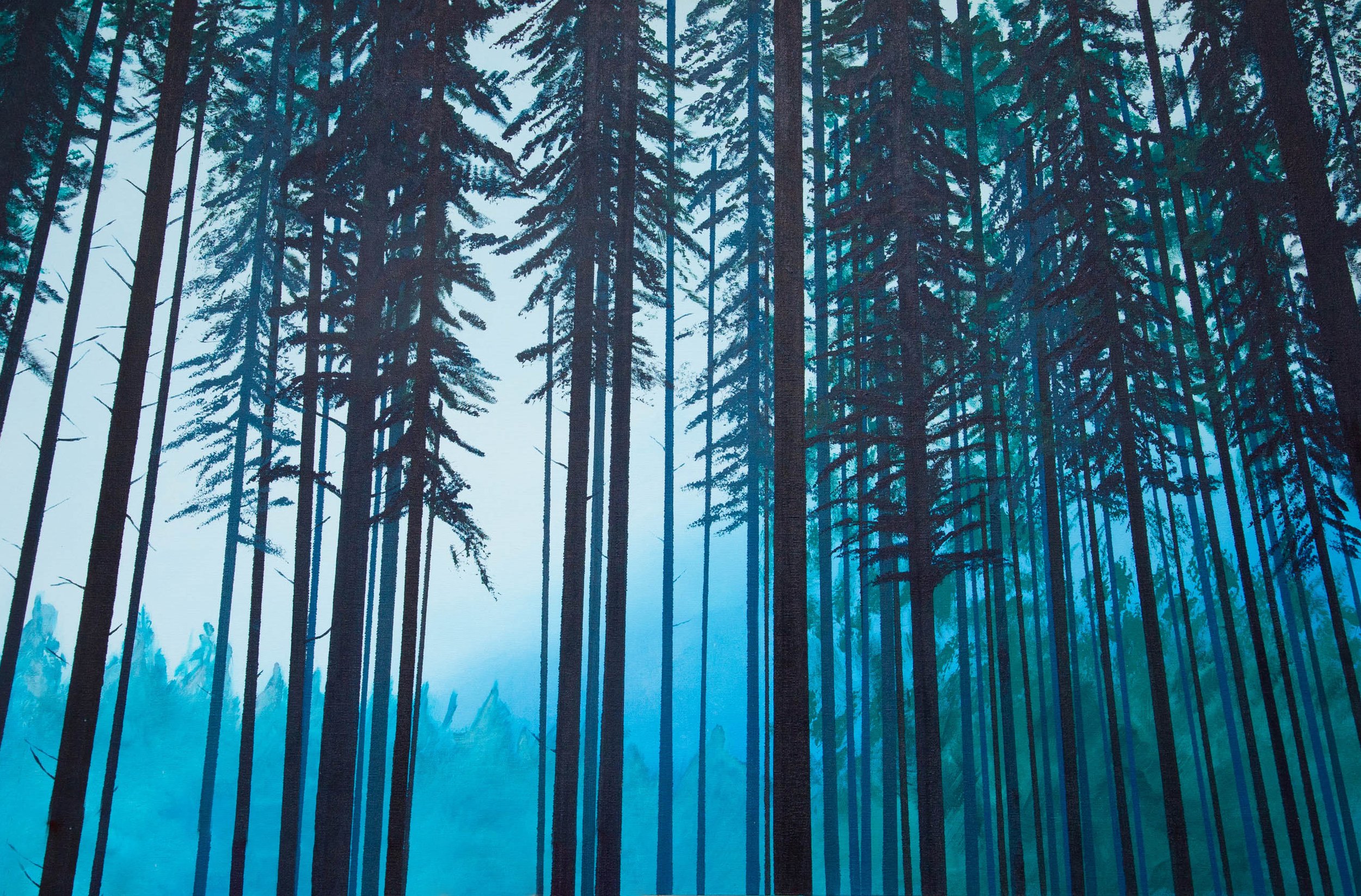 Forest.jpg