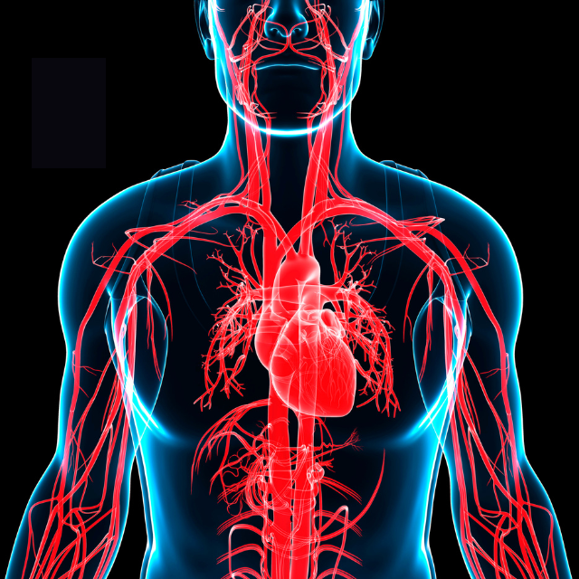 Untitled design (1).png