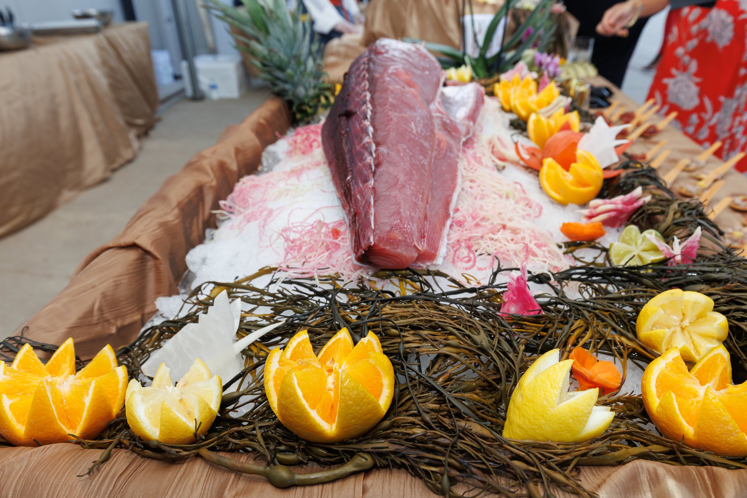 TNext RTB25 B-51.jpg