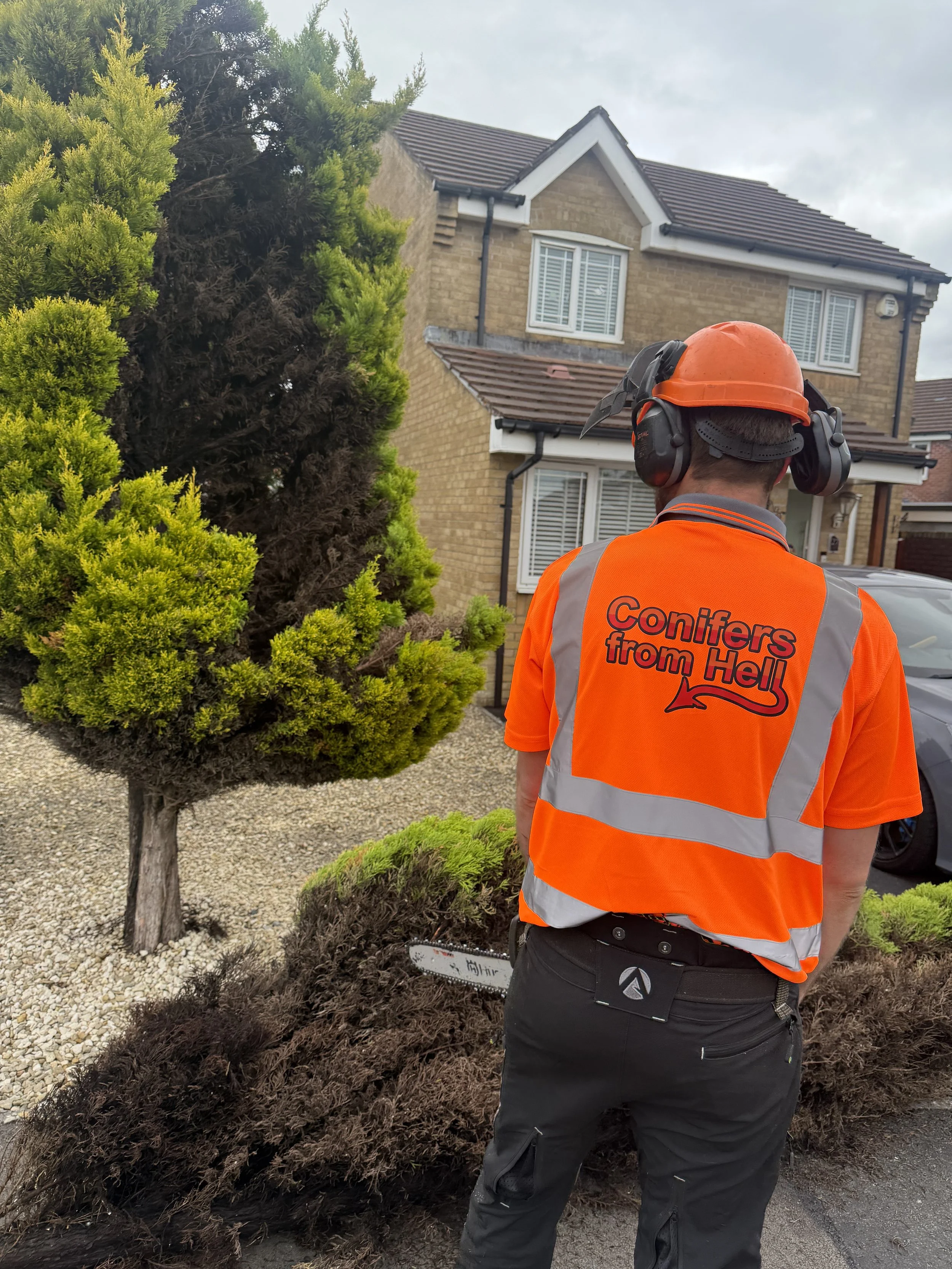 Conifers From Hell team member on site in Swansea. Tree Surgeon