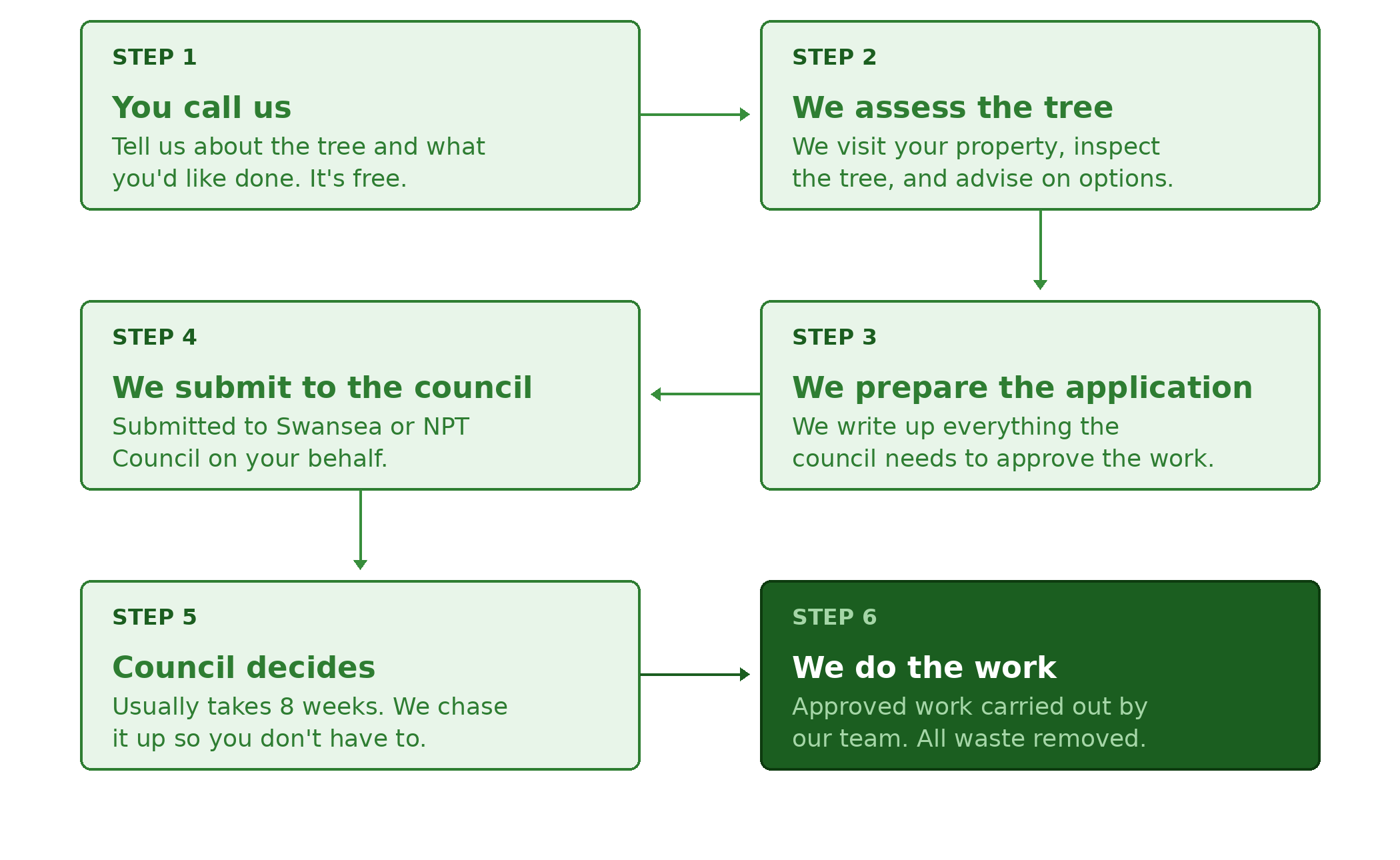 Step by step TPO application process showing how Conifers From Hell handle tree preservation order applications in Swansea and Neath Port Talbot