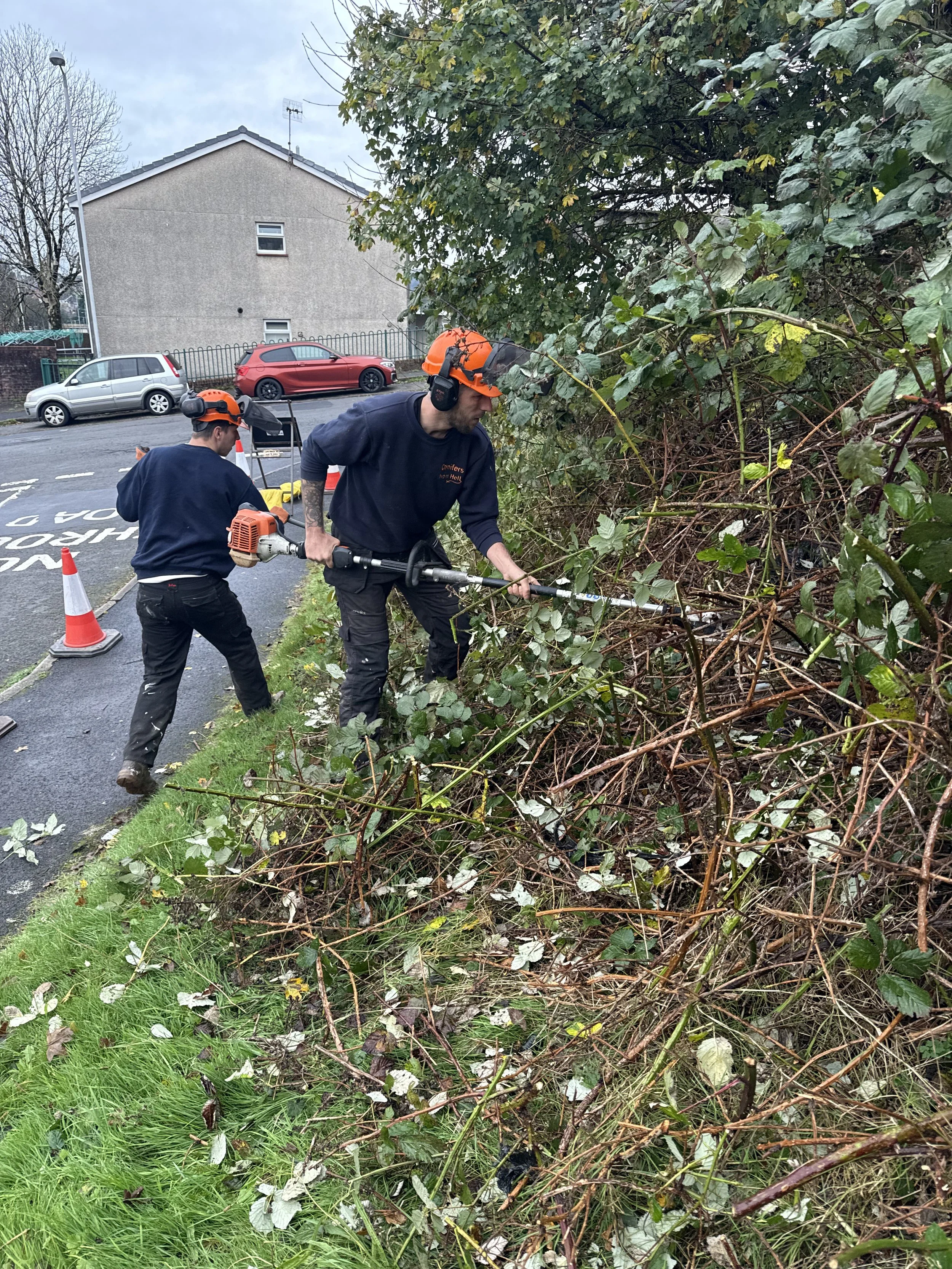 Ground clearance and vegetation removal on an overgrown site in Swansea