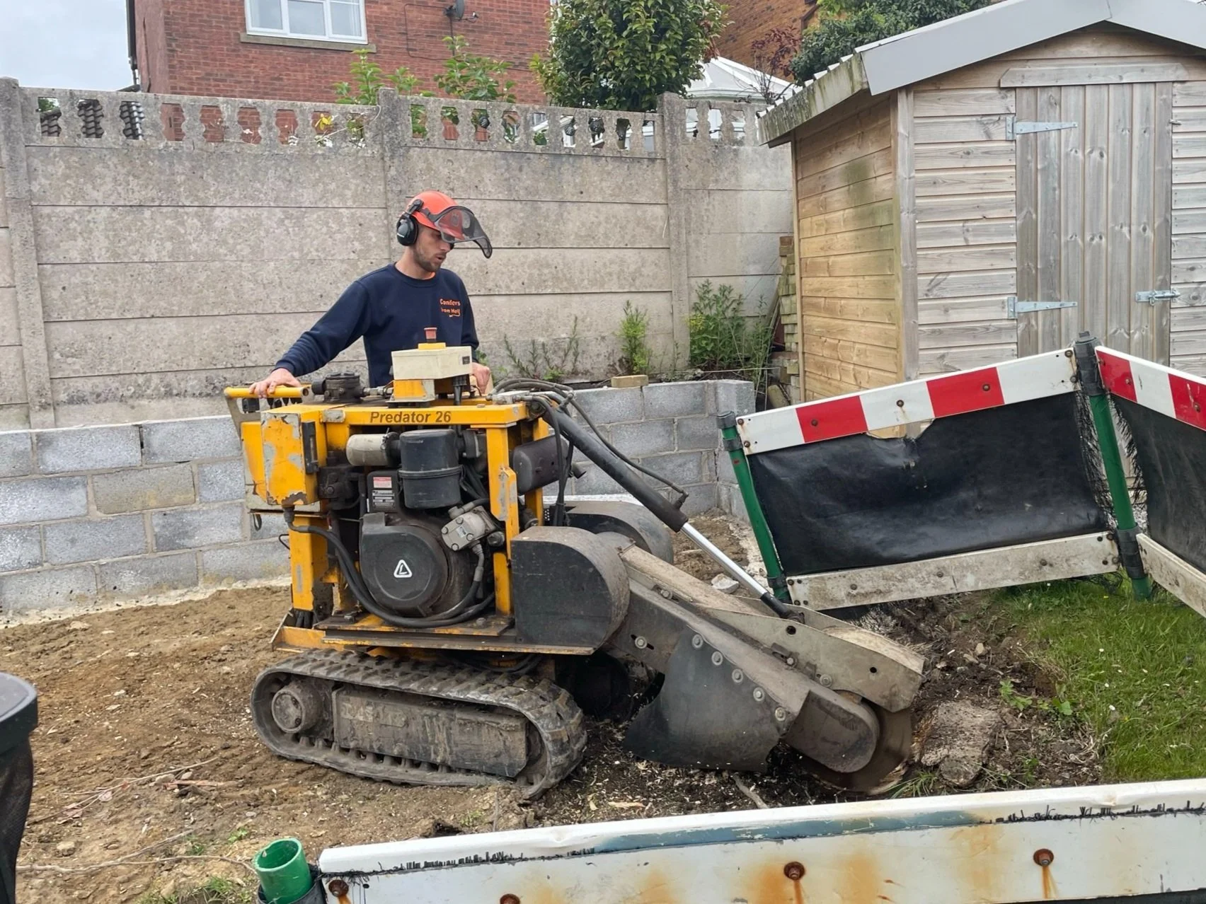 Stump grinding and removal using specialist equipment by Conifers From Hell in Swansea
