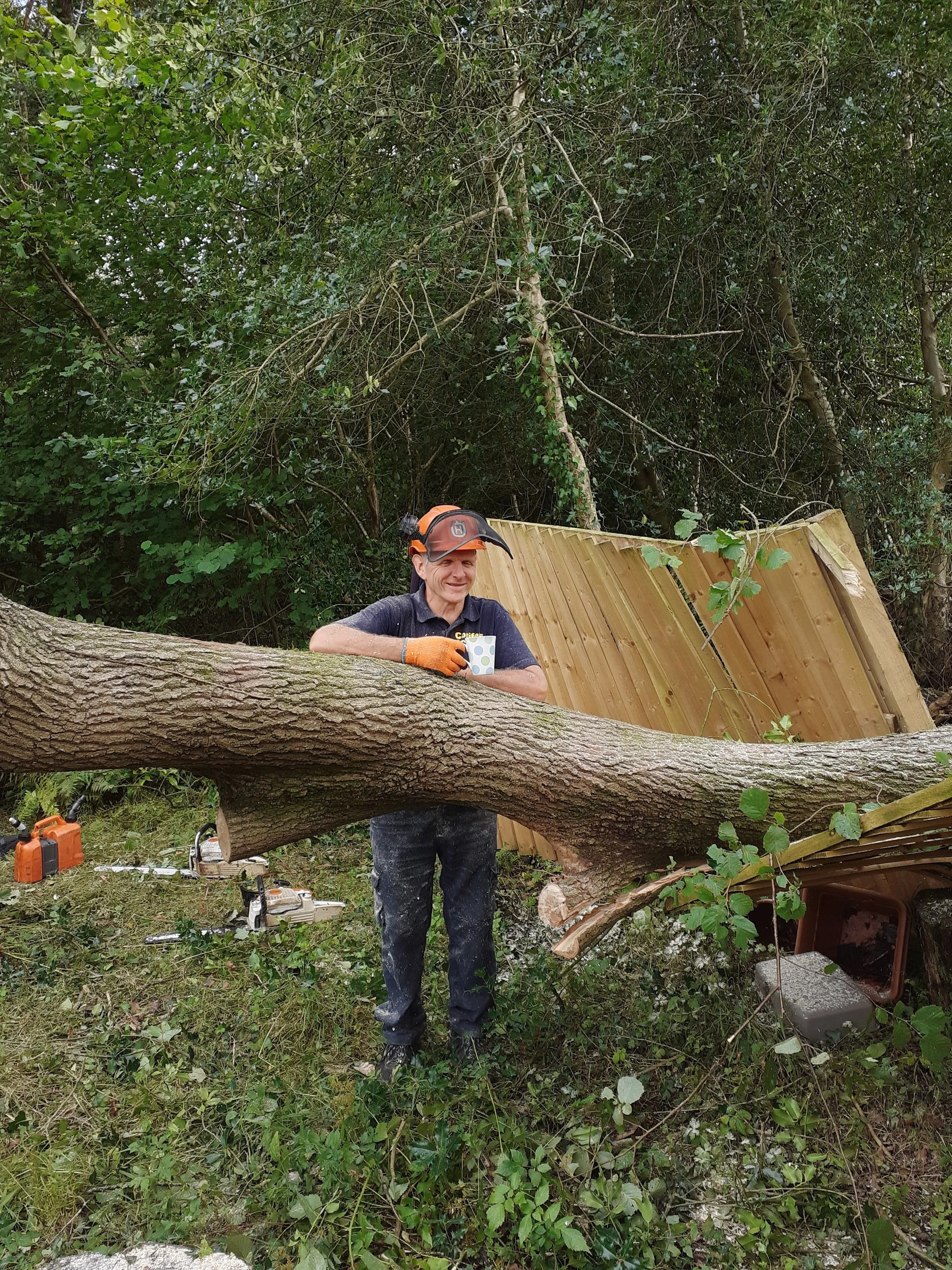Mark Williams building the Conifers From Hell tree surgery business in Swansea since 1992