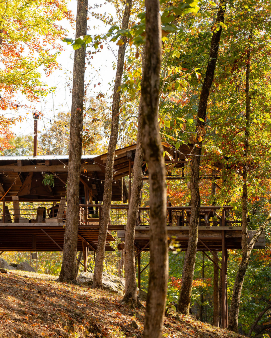 Treehouse but enlarged for adults 