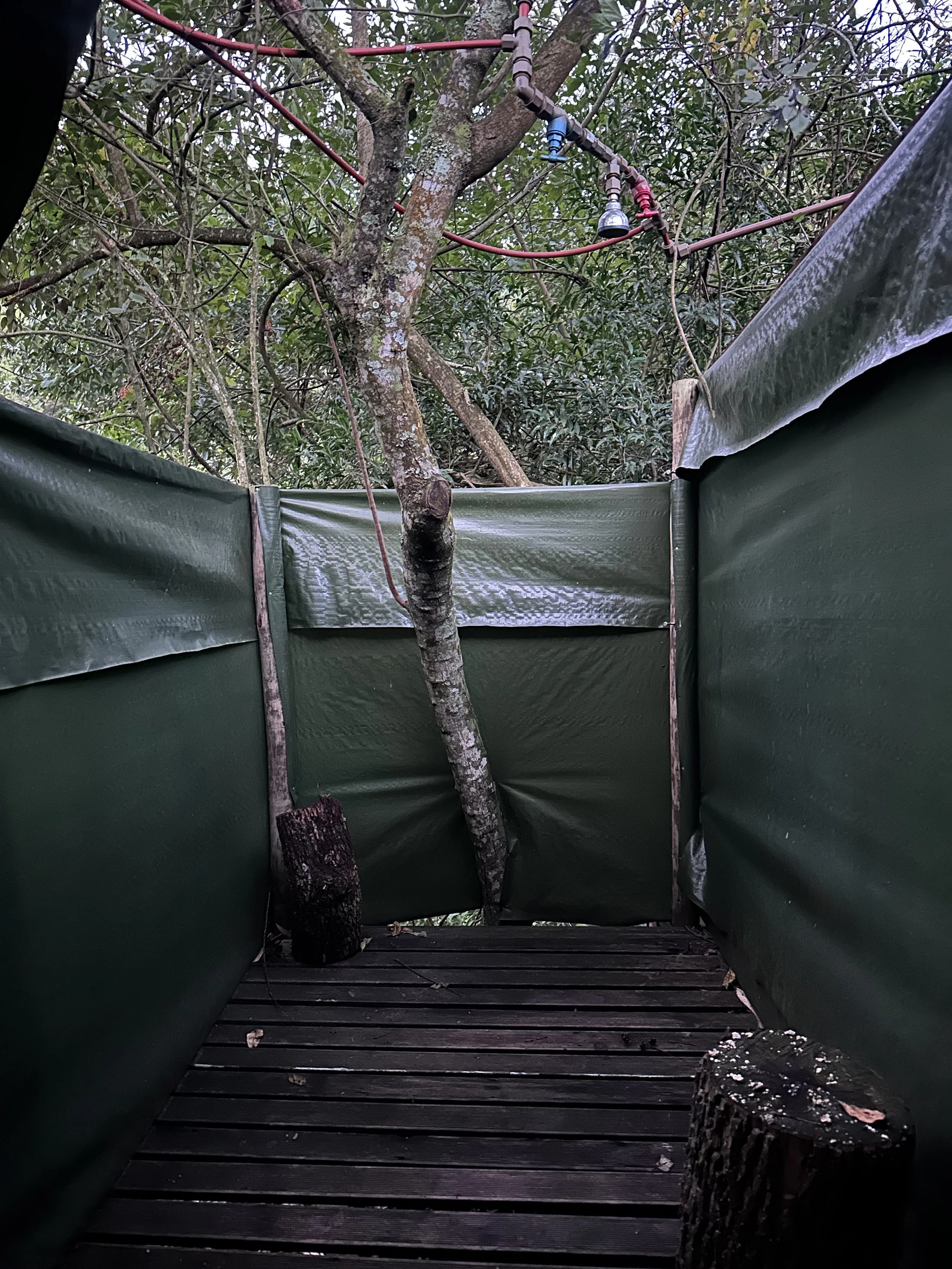 Outdoor shower with green tarp walls, wooden slatted floor, exposed plumbing, and a tree integrated into the structure.