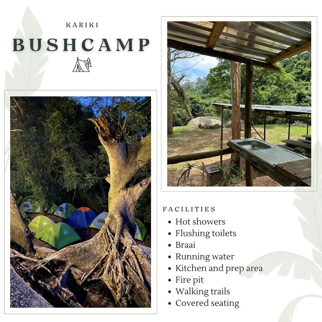 📣New accommodation venue up and running adding a new element to the KARIKI EXPERIENCE 😄🏕️🔥

Our Bush Camp is accessible via 4x4 or you may opt to walk in via one of the many trails to choose from, otherwise transportation in can be arranged.🚌🎒

