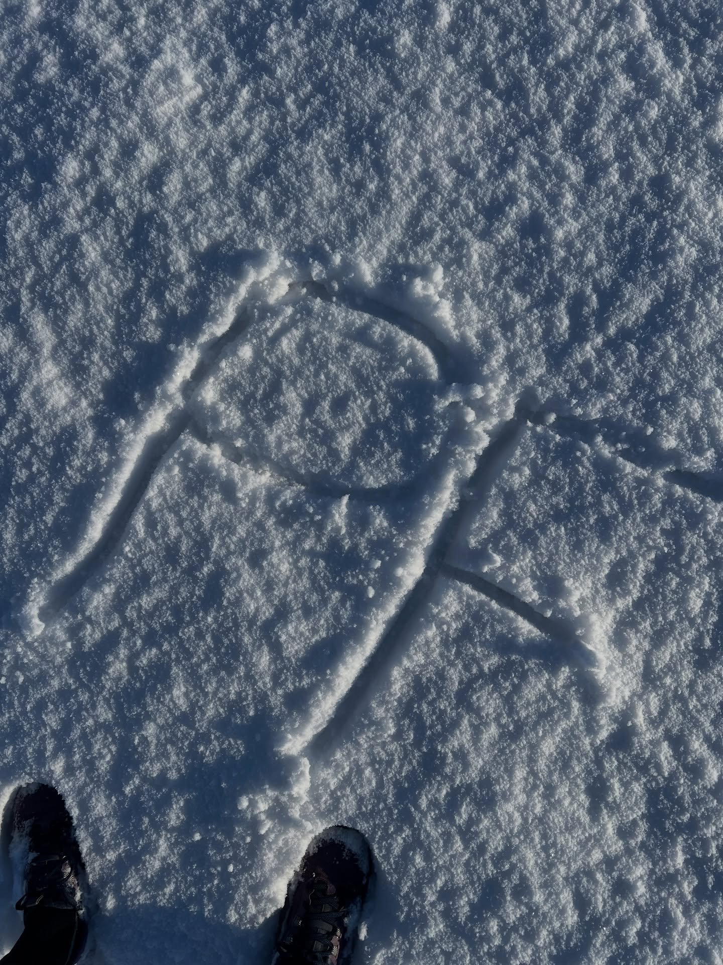 Best thing to do in the icy snow? ❄️ 

- treadmill workouts 🏃🏽&zwj;♀️
- indoor cross training on the bike 🚲 
- gym work 💪🏼

Don&rsquo;t have access to any of that? 
Still want to move your body&hellip; join me for our online classes ➡️➡️➡️

More