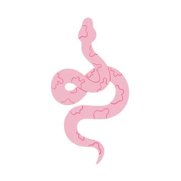 Pink snake coiled with a pattern of lighter pink markings.
