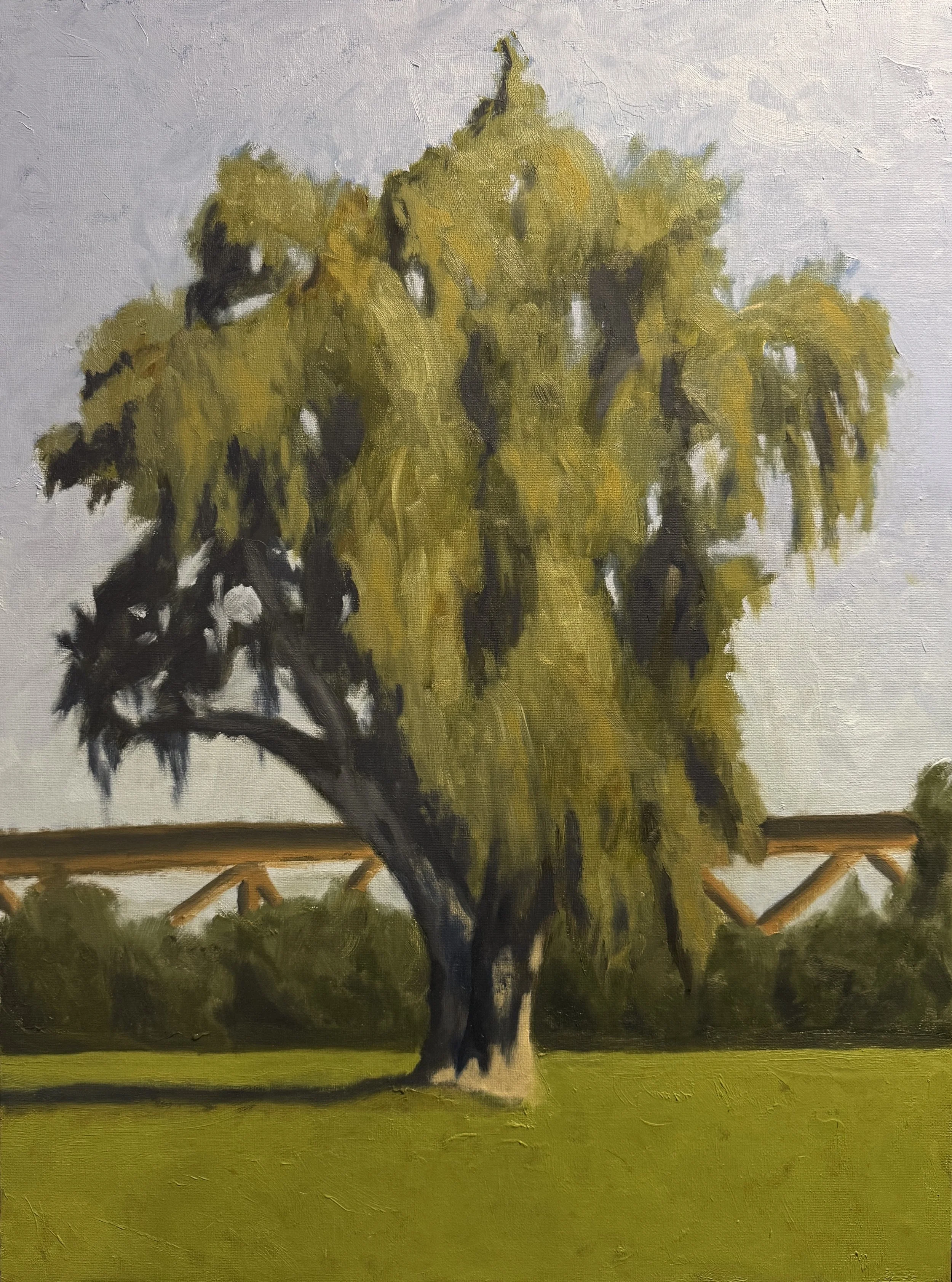 "Caldwell Eucalyptus"
18" X 24"
Oil on Canvas Board
2025