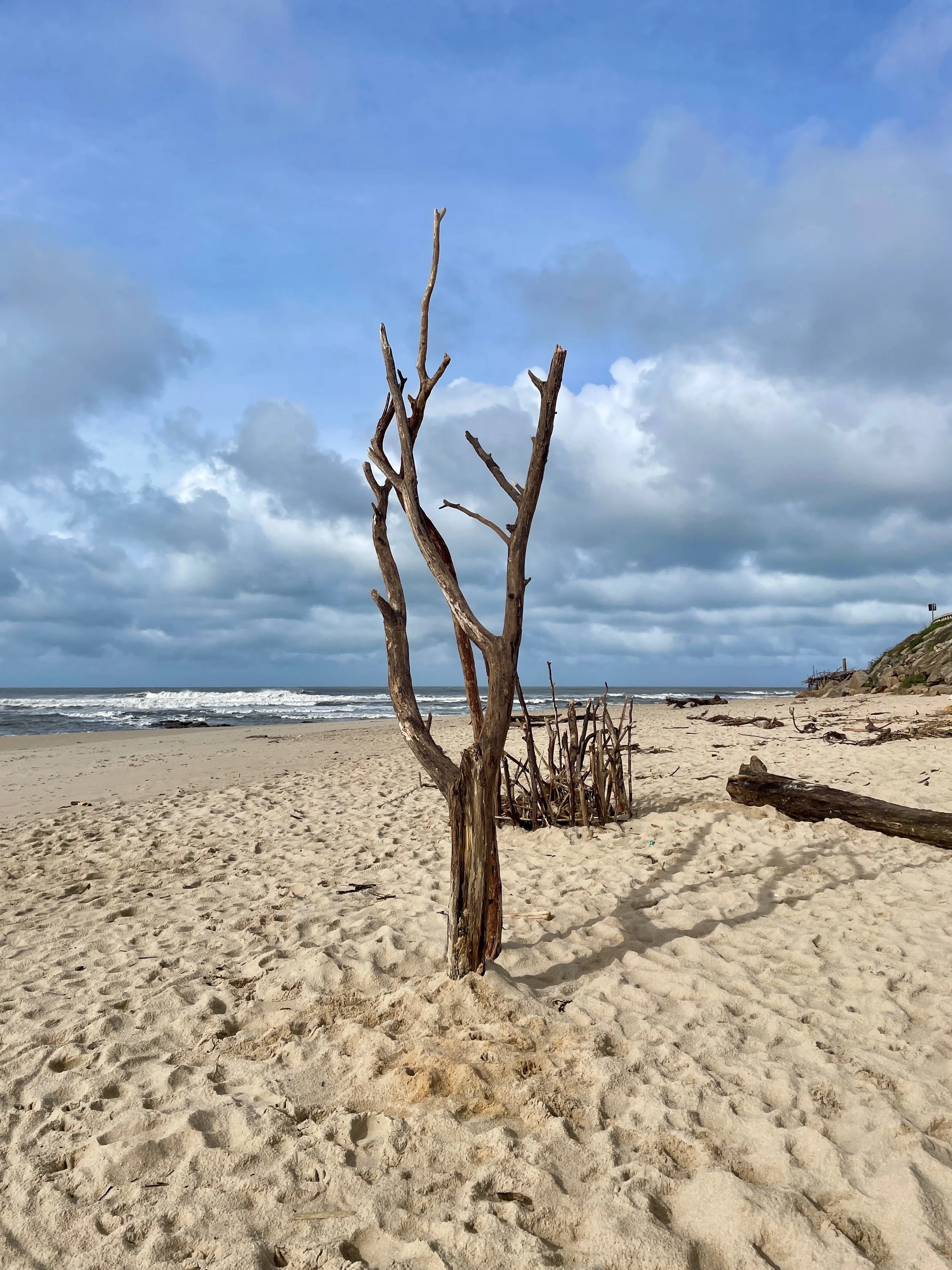 A New Chapter In Focus