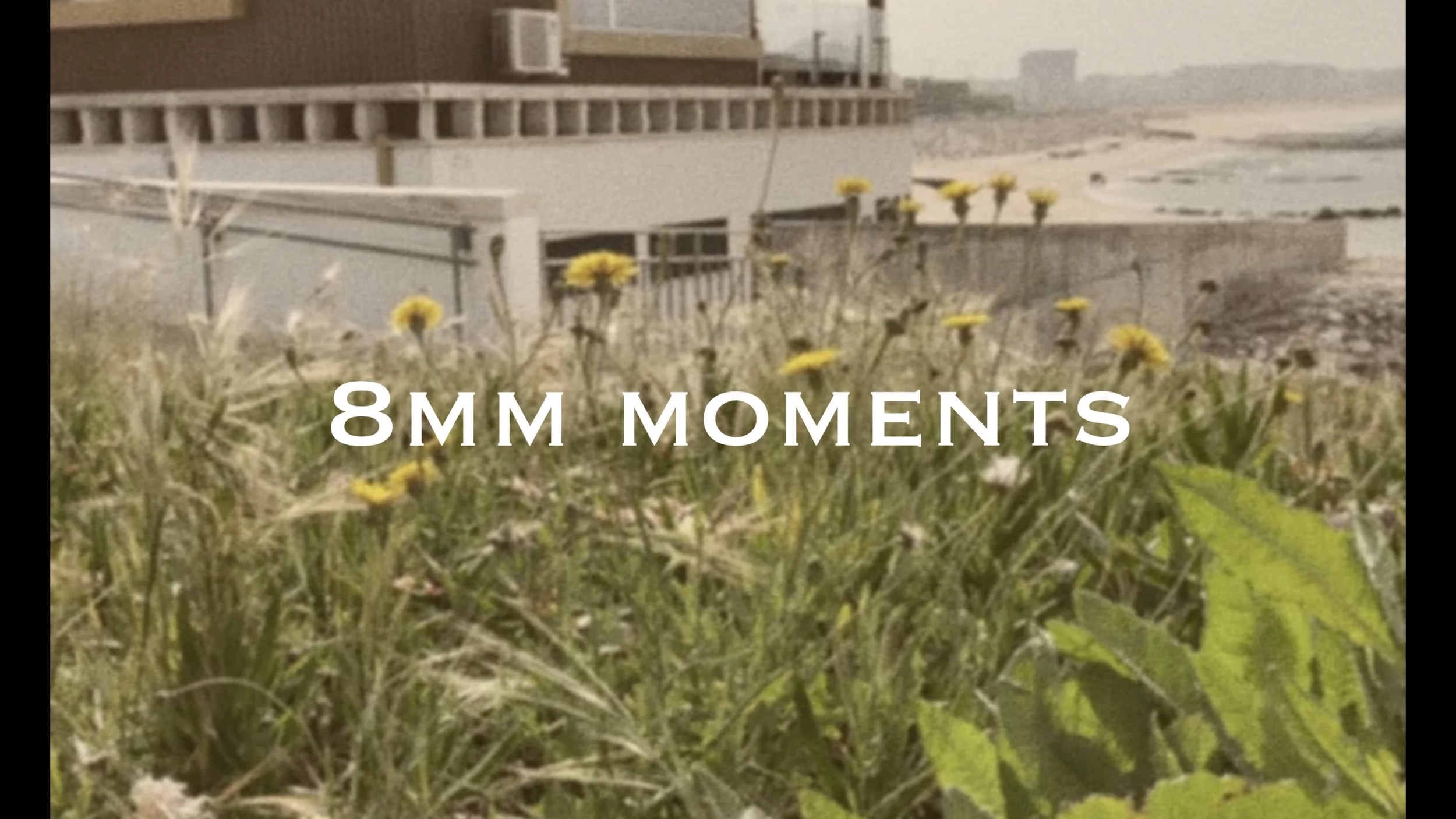 A close-up of yellow dandelions and green grass in the foreground with a building and overcast sky in the background, overlaid with the text '8MM MOMENTS'.