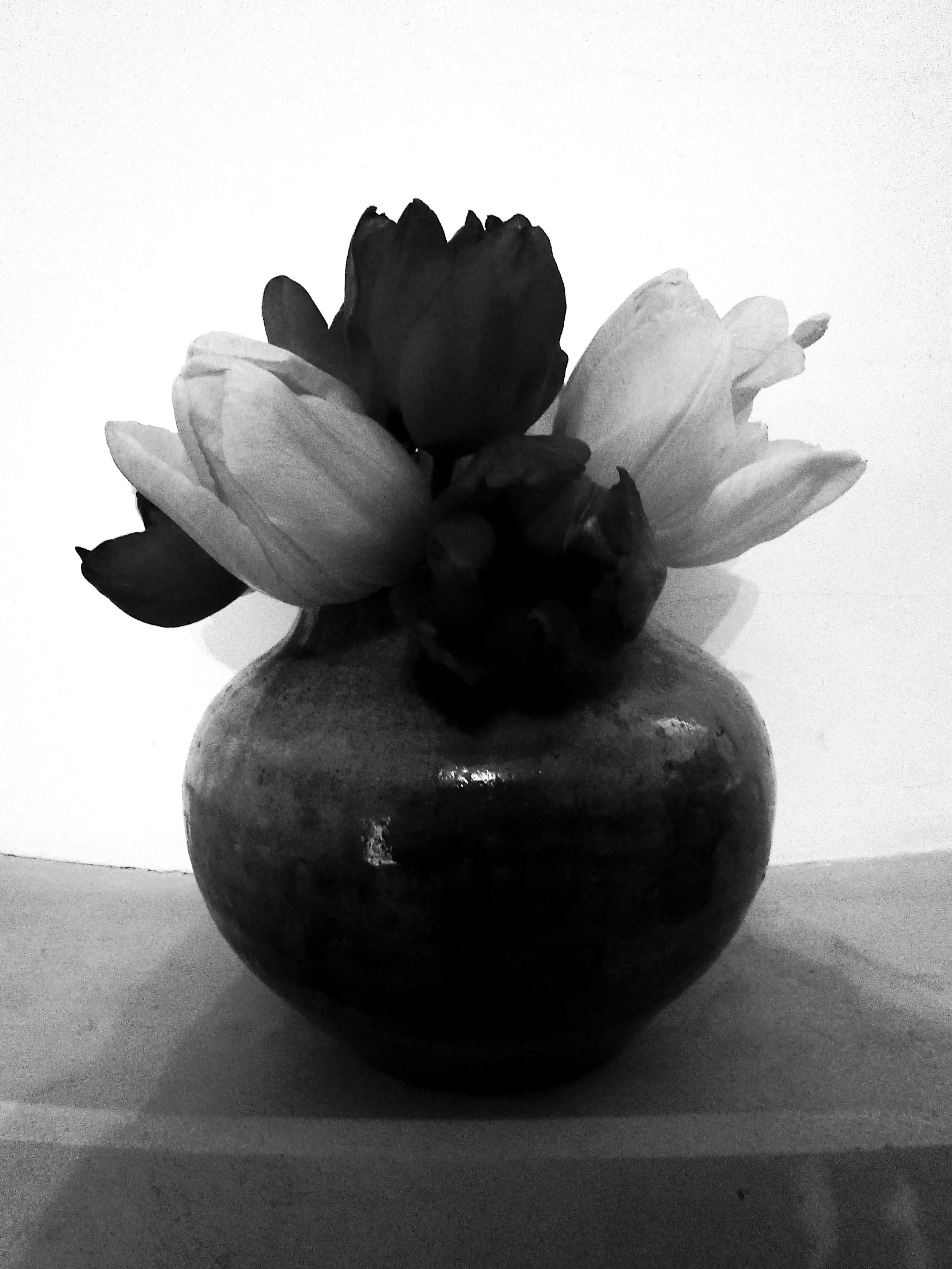Black and white photo of a flower arrangement in a rounded vase.