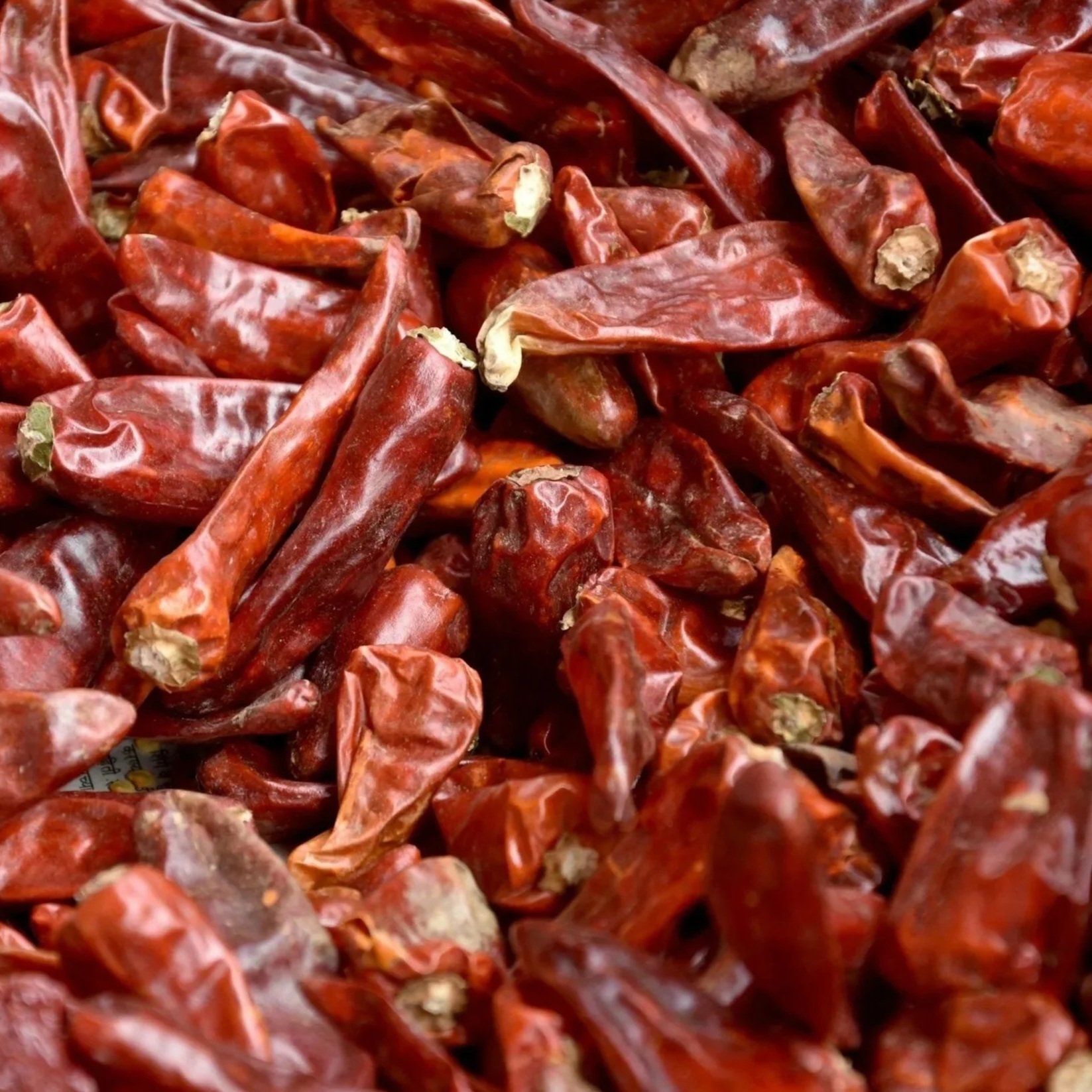 Red Chilli Whole
