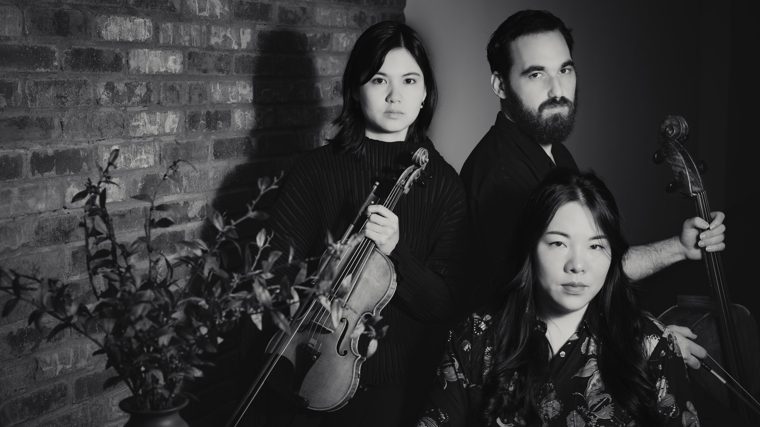 Monterey Piano Trio debuts with Violinist Emily Shehi