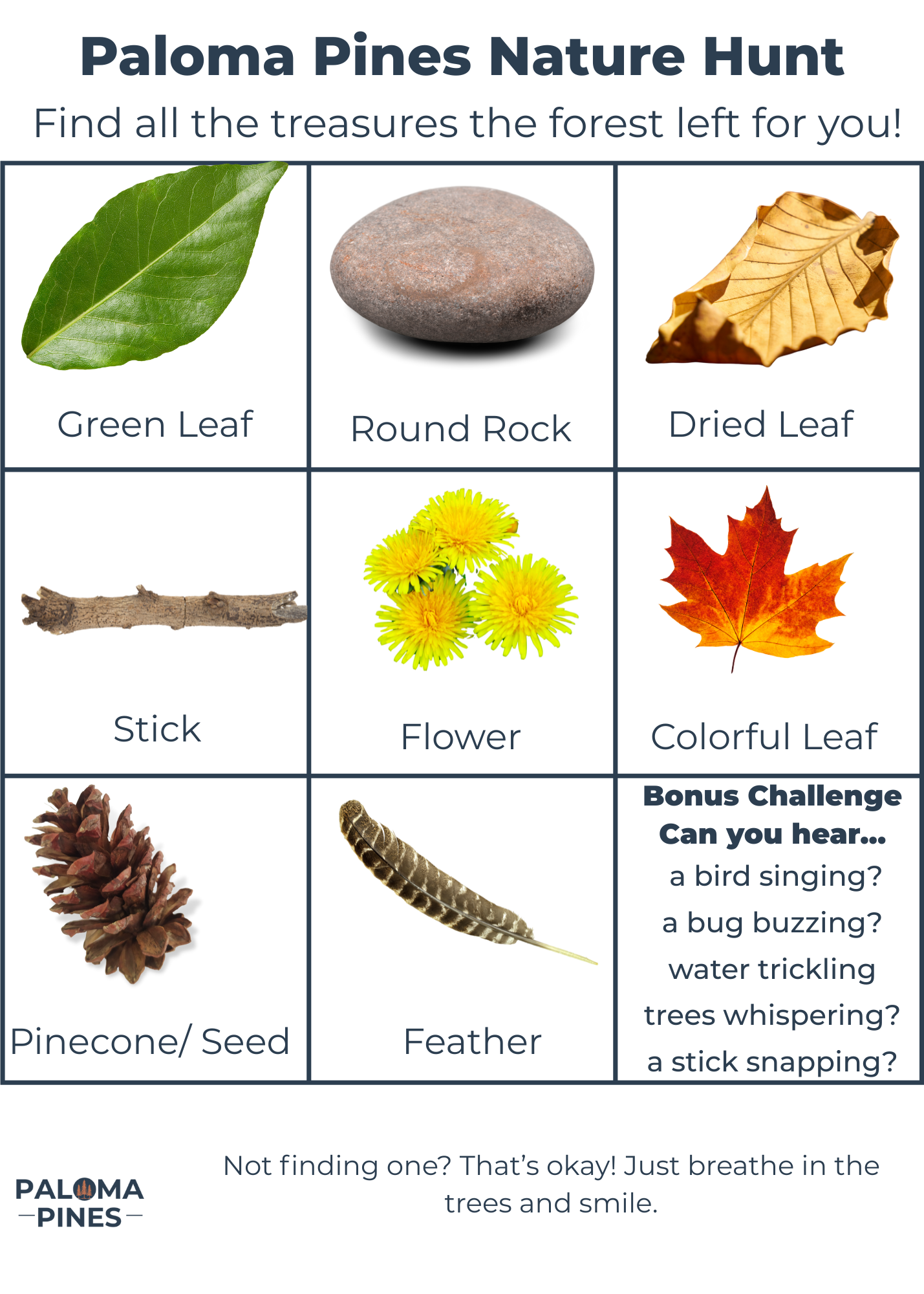 Paloma Pines Nature Hunt Mini (5x7 Printable).png