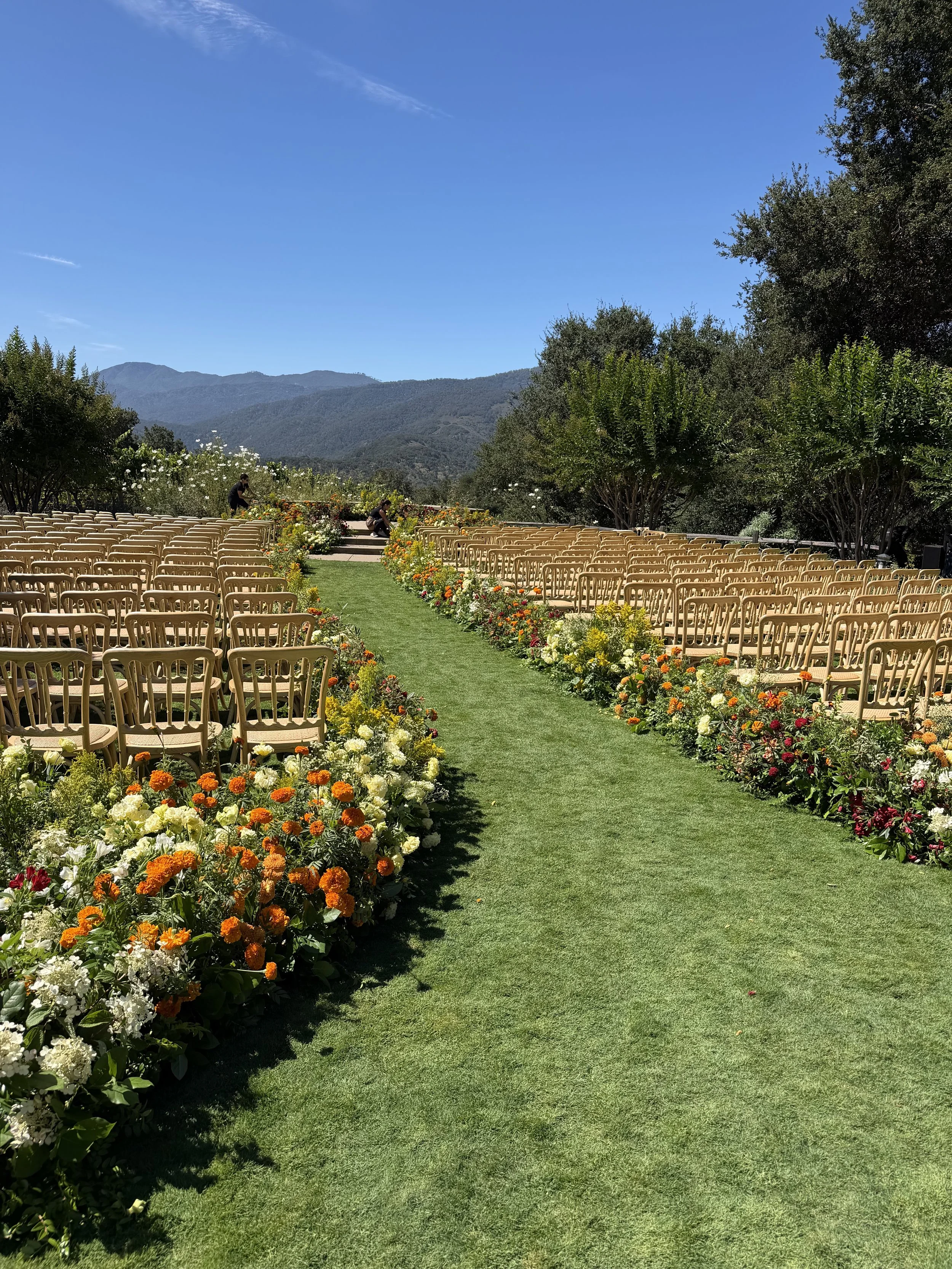 Outdoor wedding ceremony with rows of chairs and a flower-lined aisle beneath a clear blue sky.