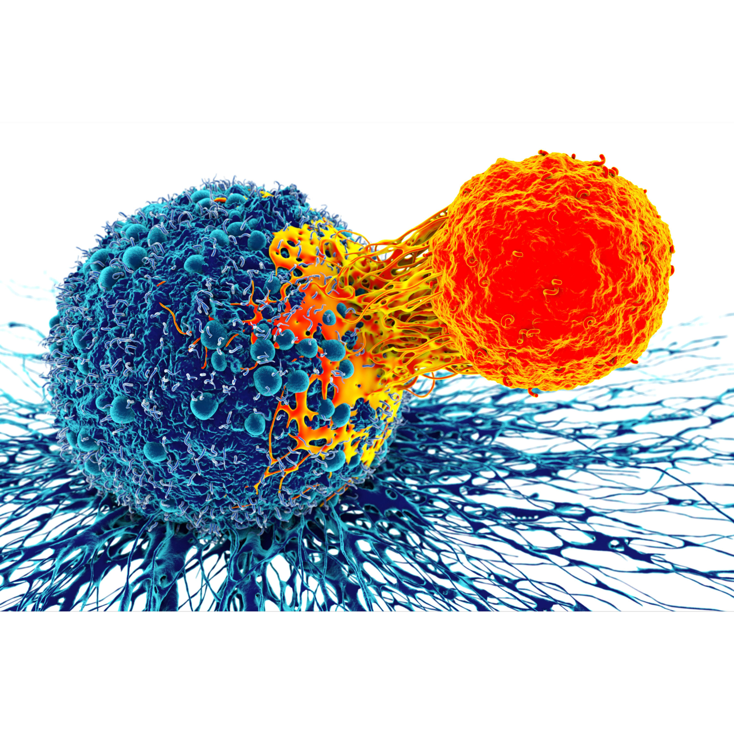 Why Do We Get Cancer? Understanding Risk and Prevention