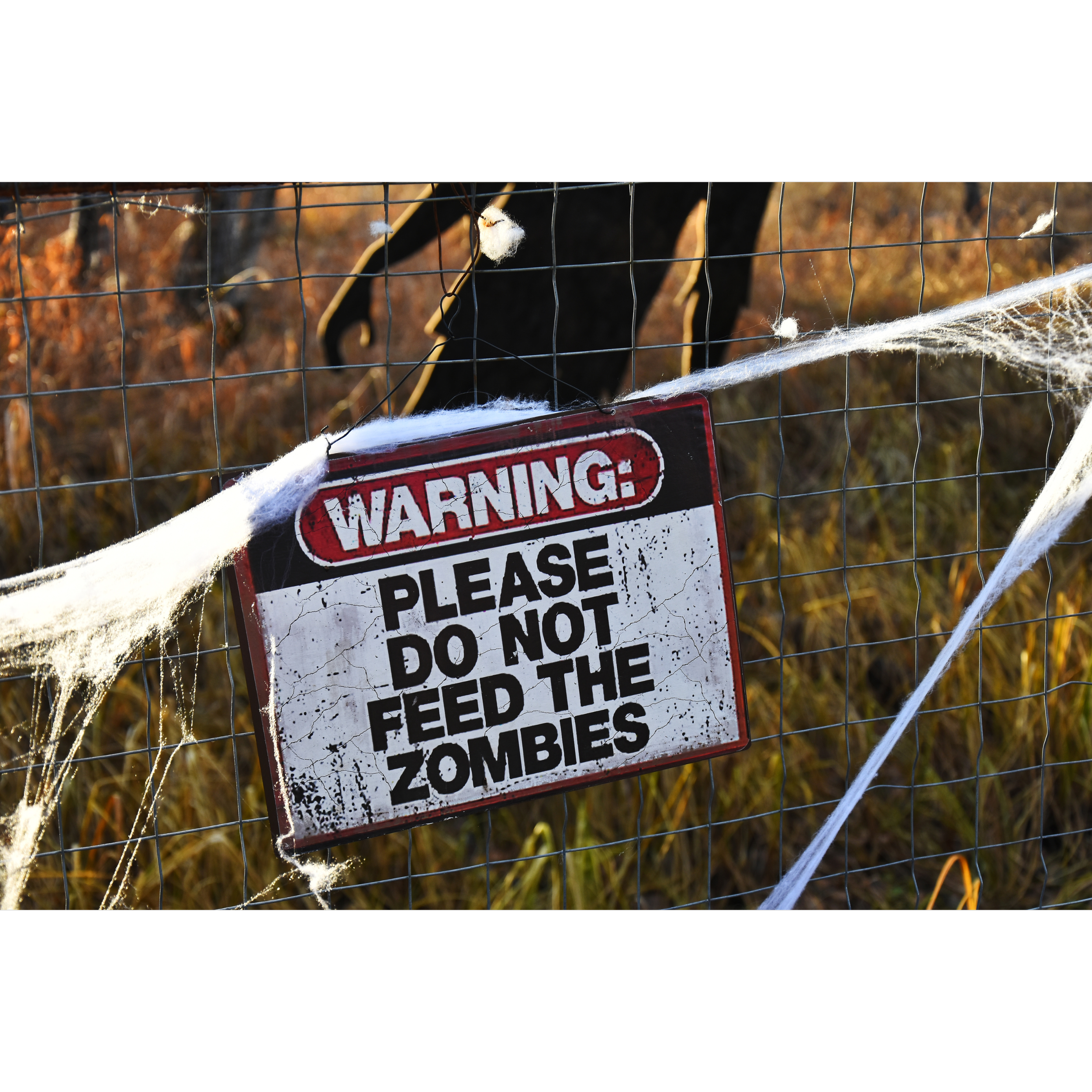 Zombie Cells: How Cellular Senescence Causes Aging and How to Fight Back