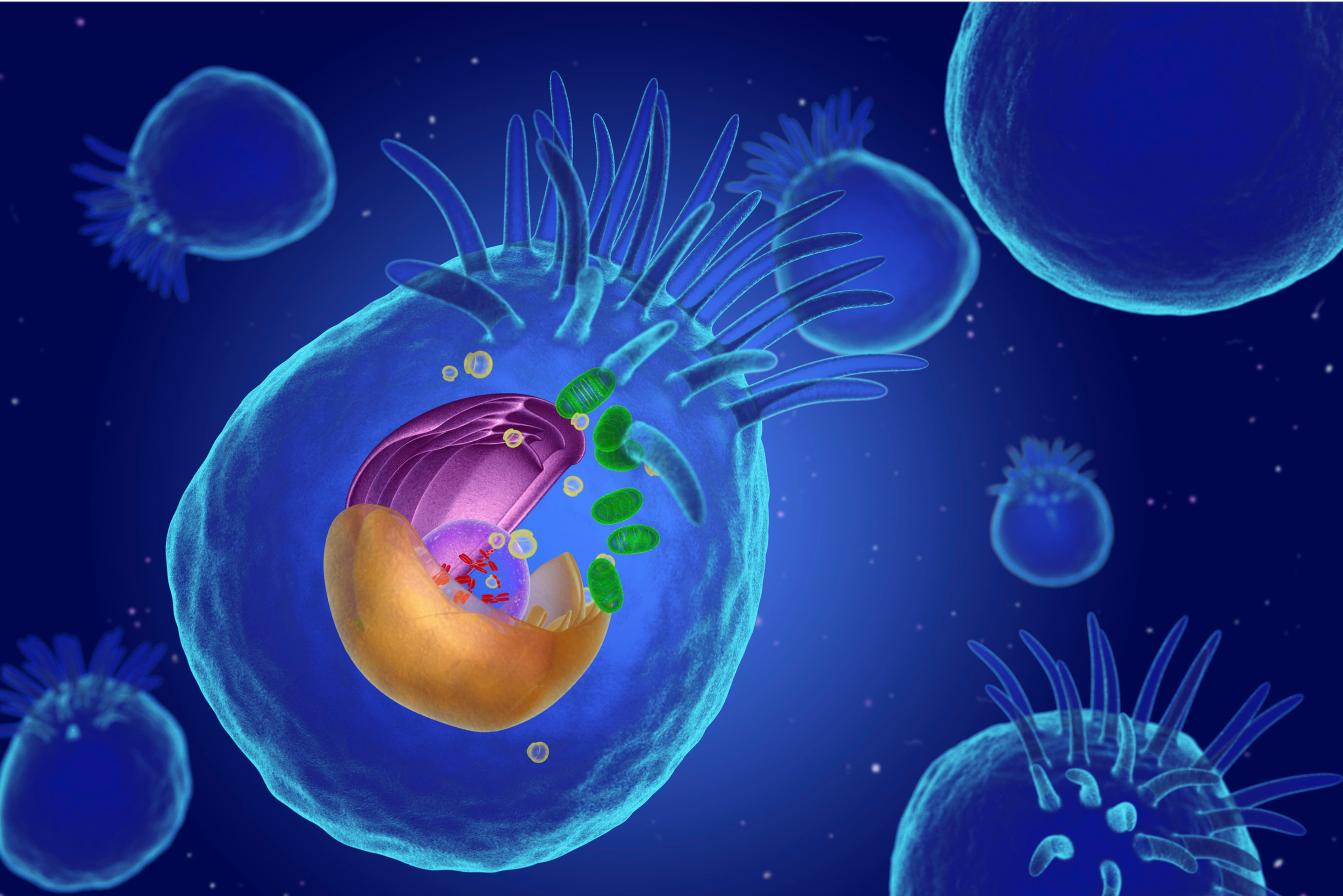 Mitochondria: The Tiny Engines Driving Your Health &amp; Longevity