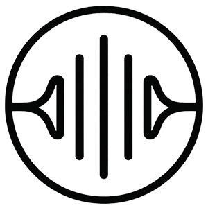 1:1 Professional Audio Consultation