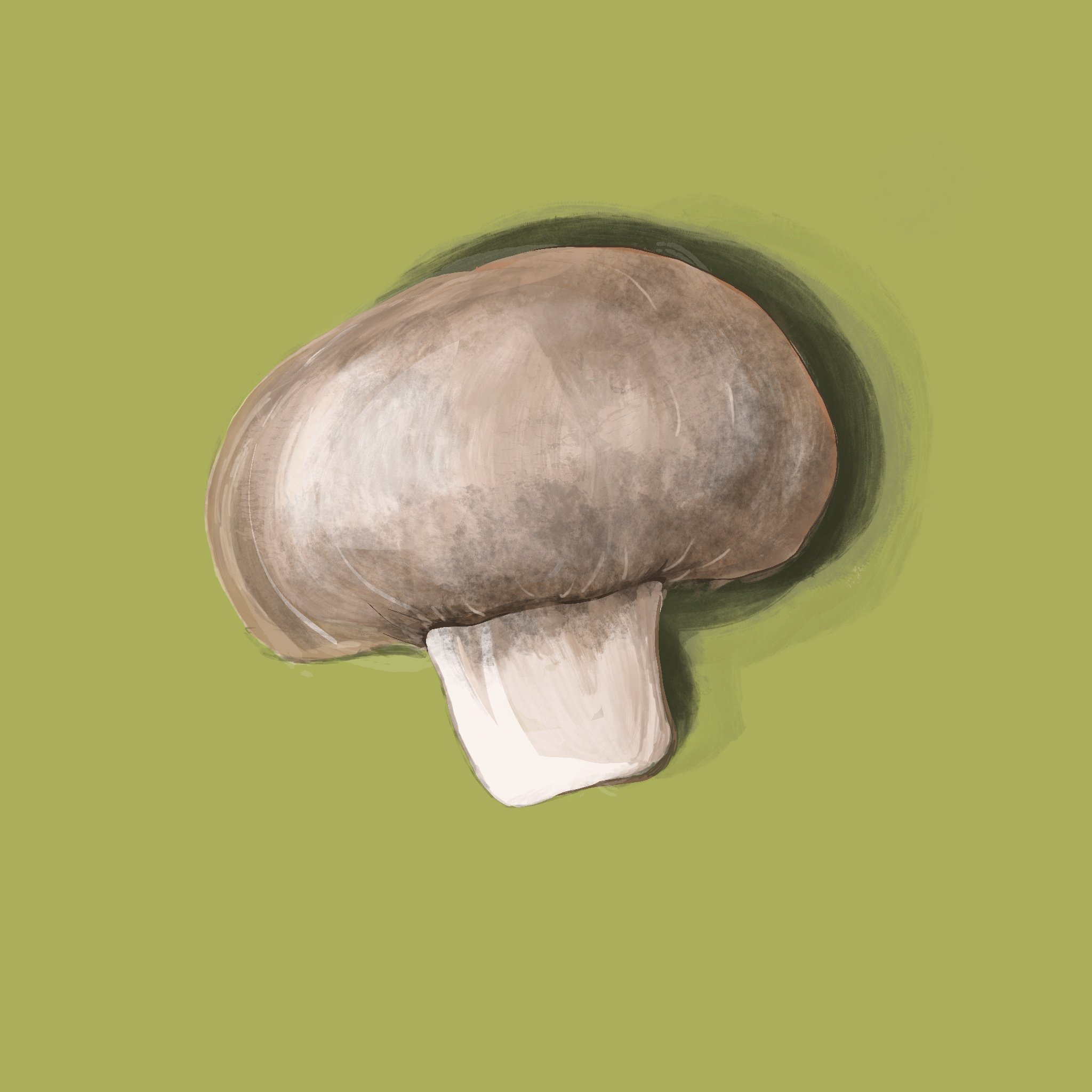 Untitled_Artwork 4.jpeg