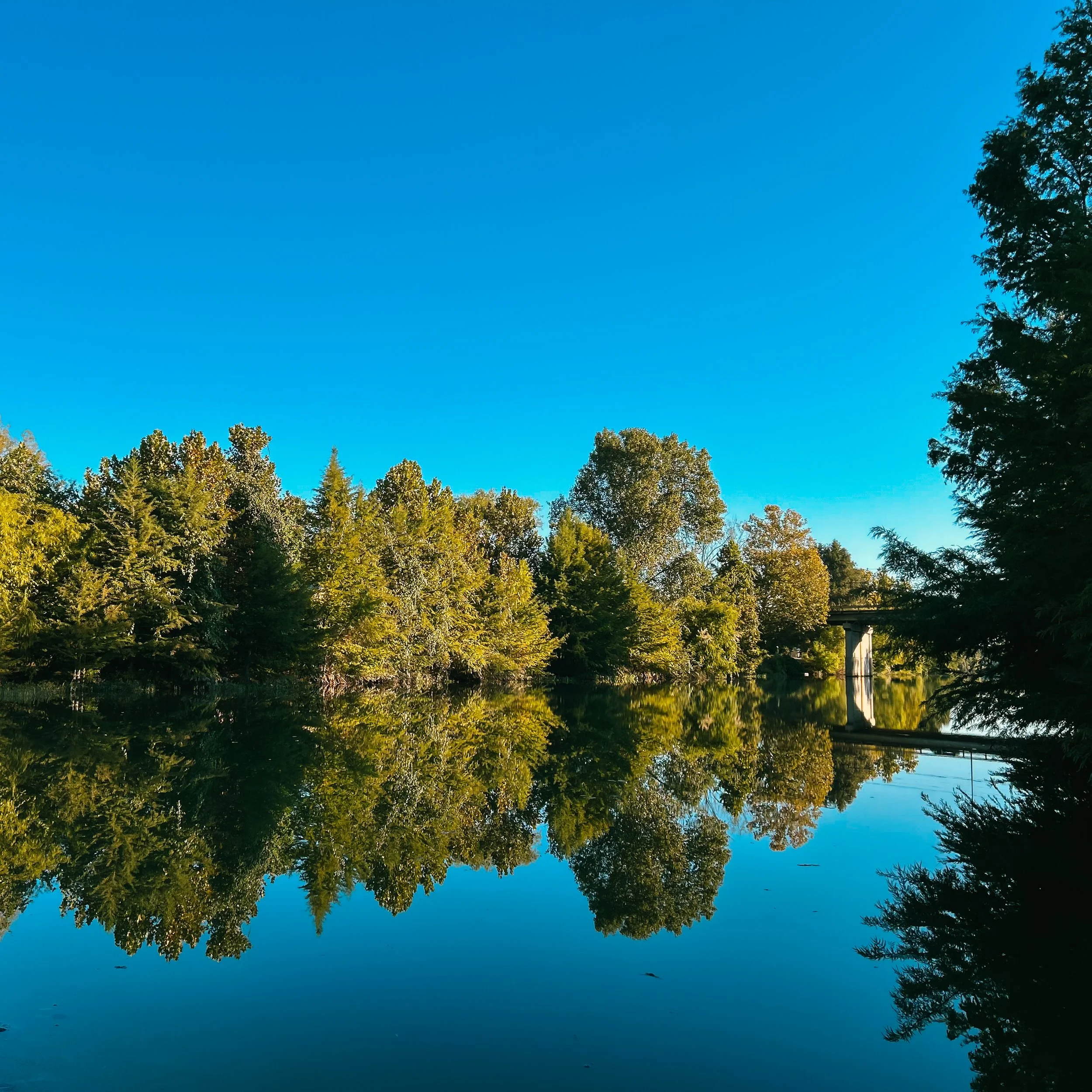 A Better Way to Live