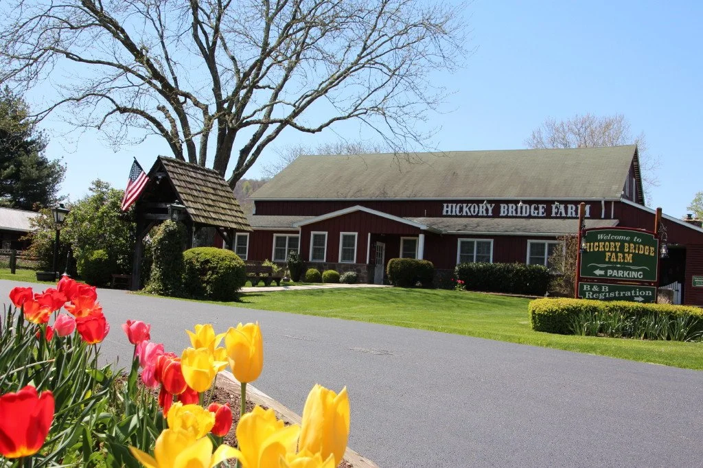 *First-ever* Performance at Hickory Bridge Farm #1