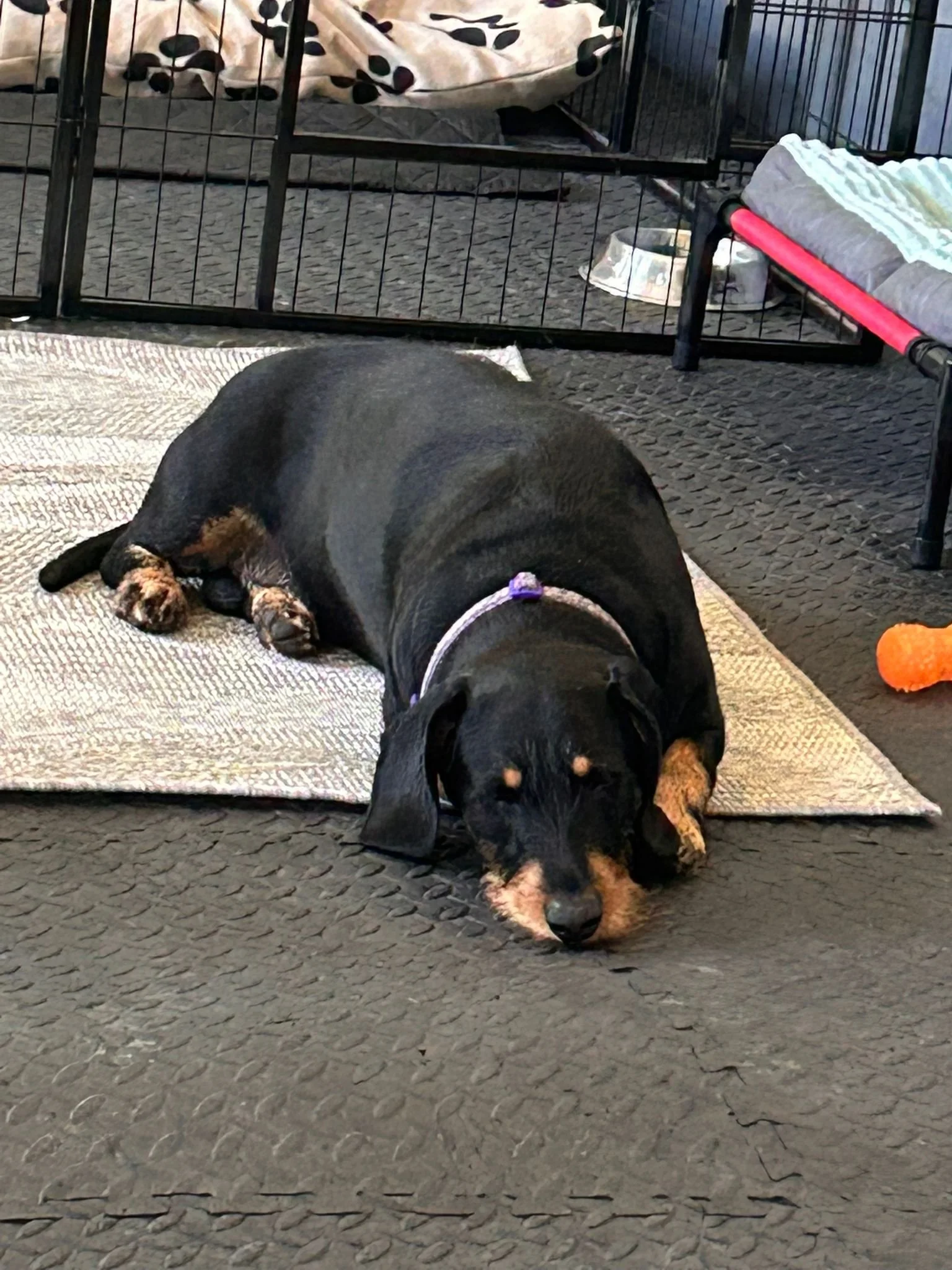 WhatsApp Image 2025-07-11 at 14.06.05.jpeg