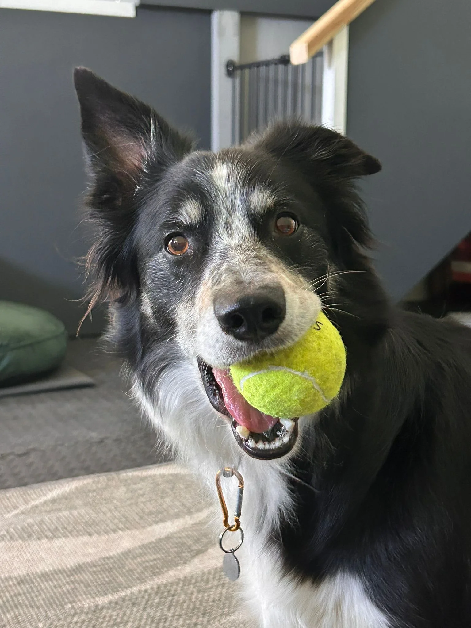 WhatsApp Image 2025-07-11 at 14.07.59.jpeg