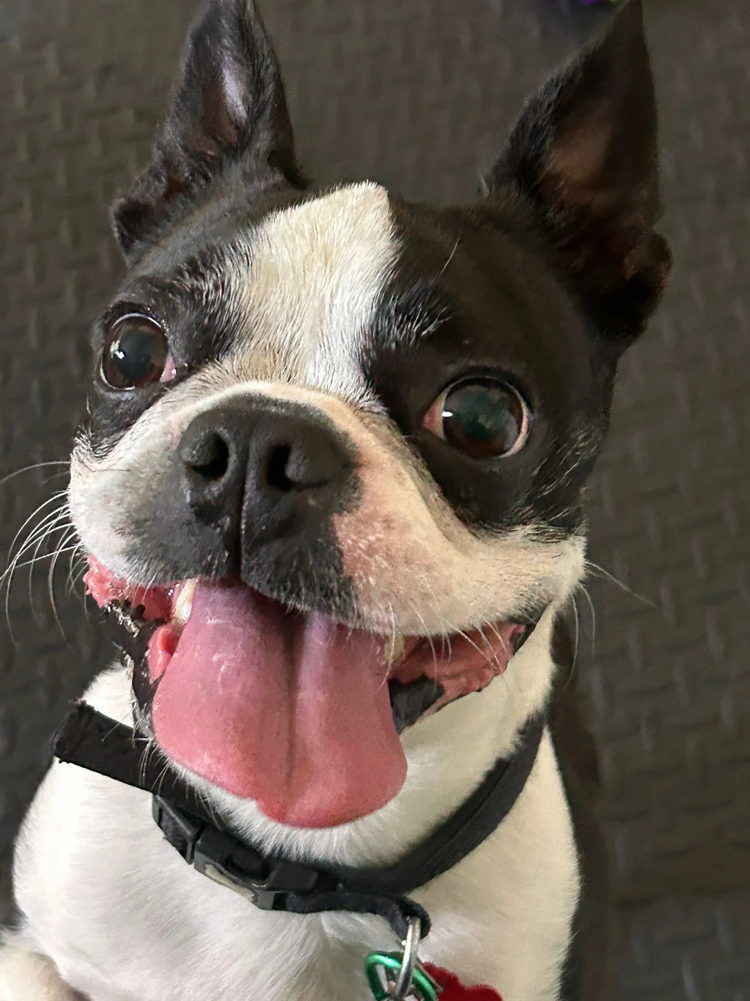 WhatsApp Image 2025-07-11 at 14.05.54 (1).jpeg