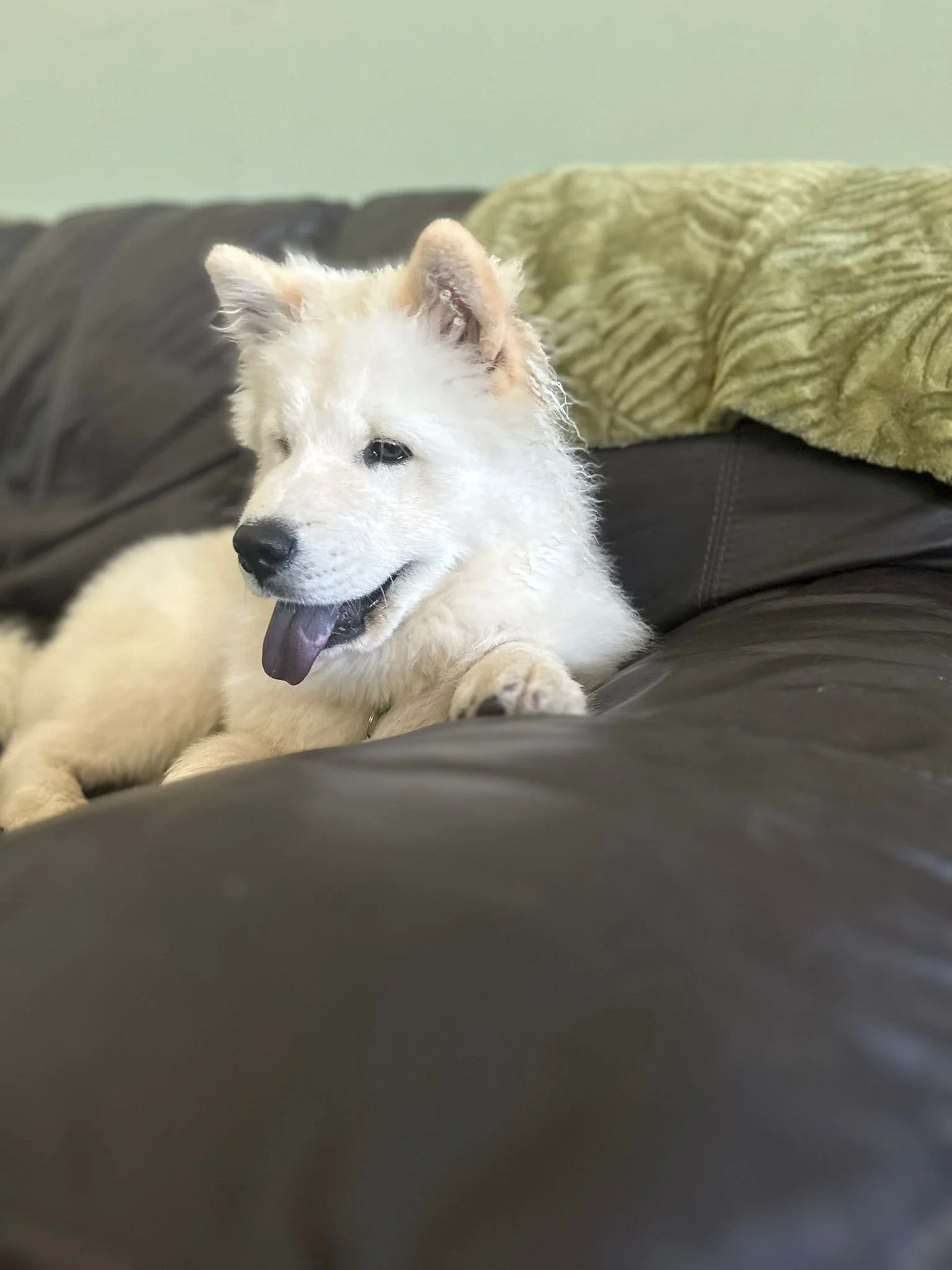 WhatsApp Image 2025-07-11 at 14.06.37.jpeg