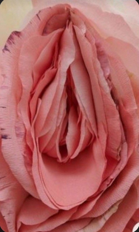 Cosméceutique vulvovaginale