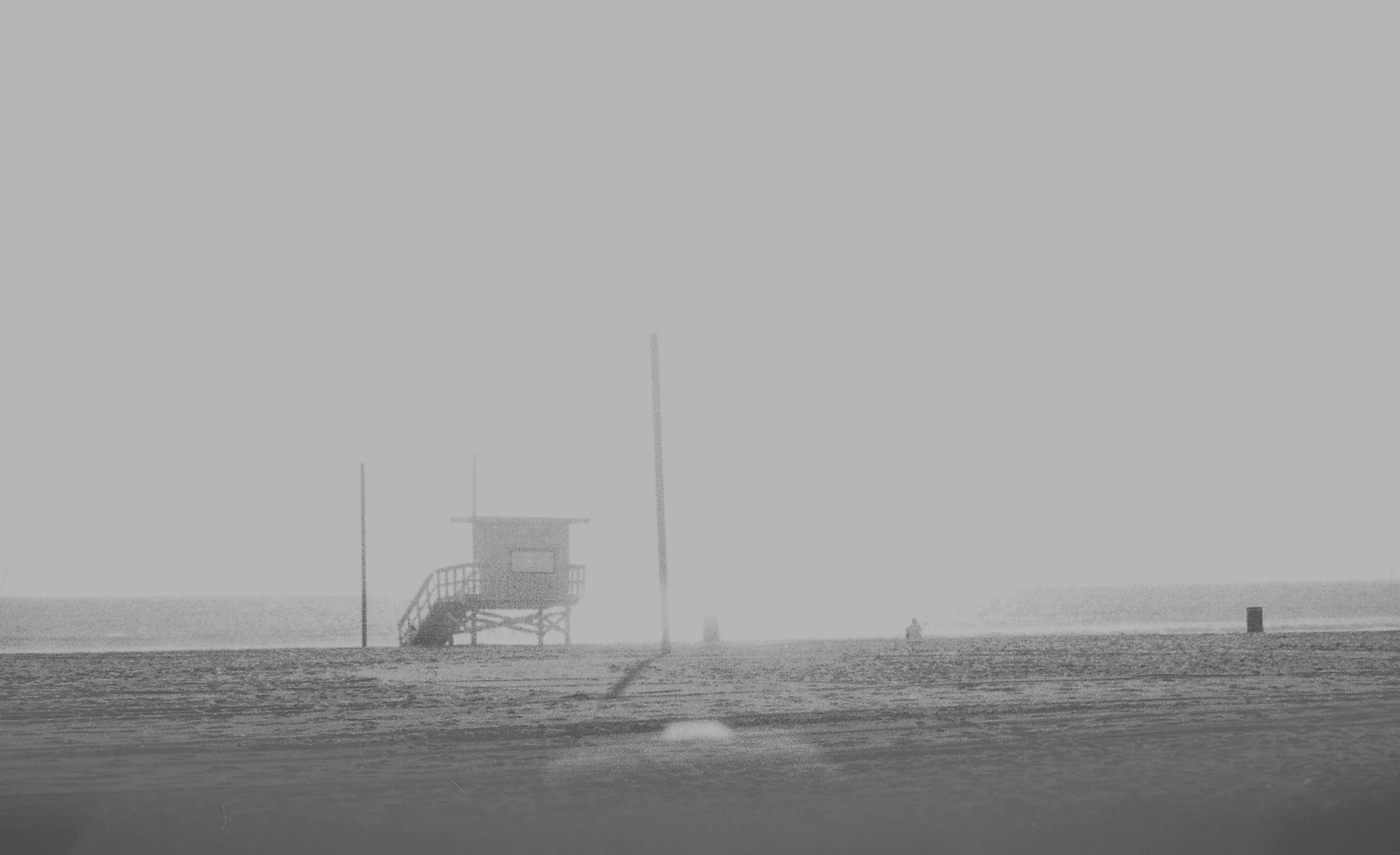 beach venice131.JPG