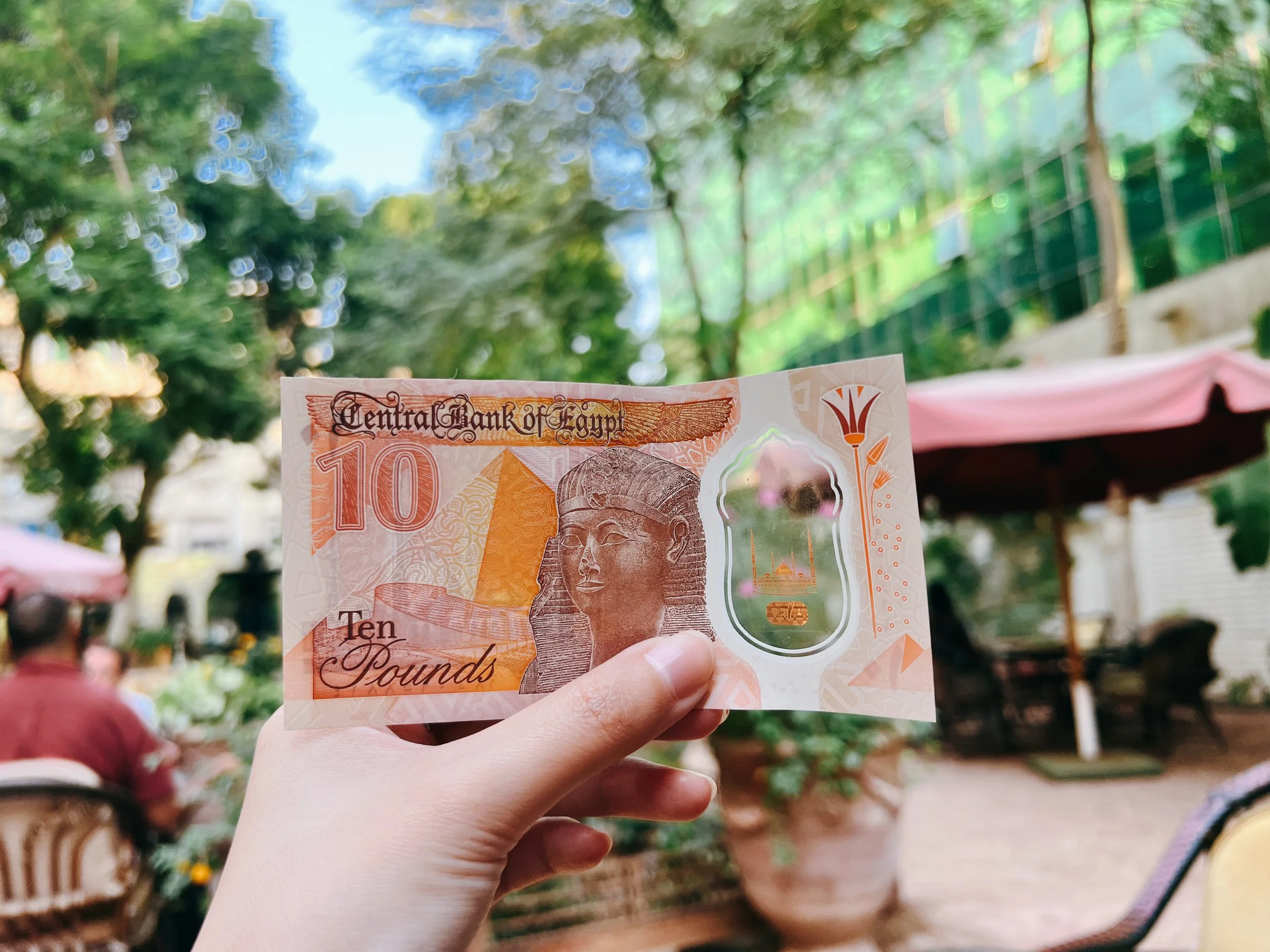Egyptian pound banknotes used for cash and tipping in Egypt travel